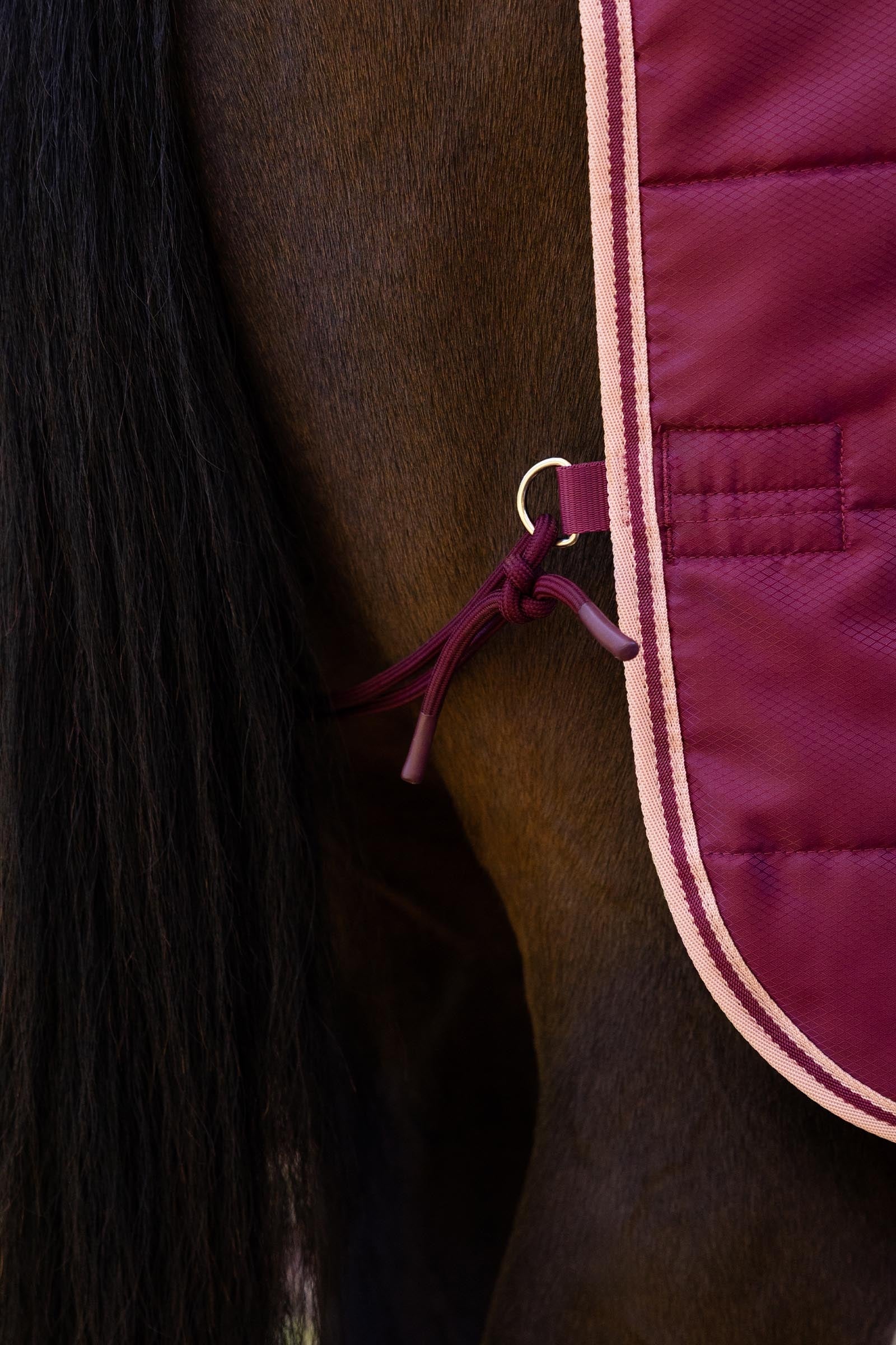 LeMieux Arika Stable-Tek With Neck, 100 g Horse Rugs