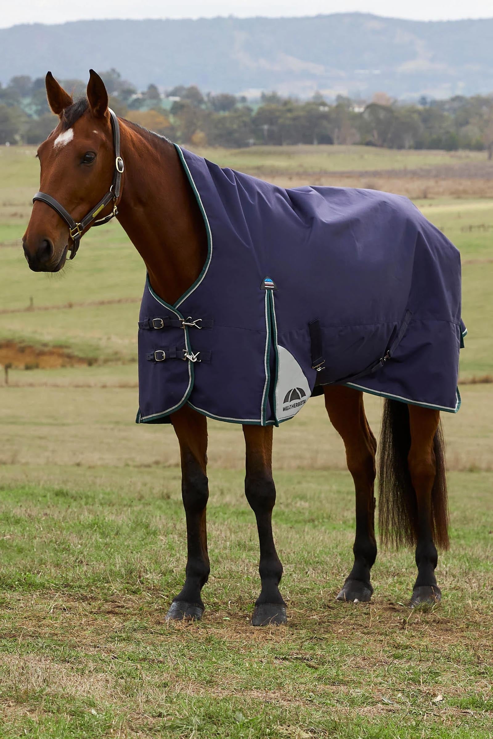 Weatherbeeta Comfitec Plus Dynamic Turnout Rug High Neck 220g Horse Rugs