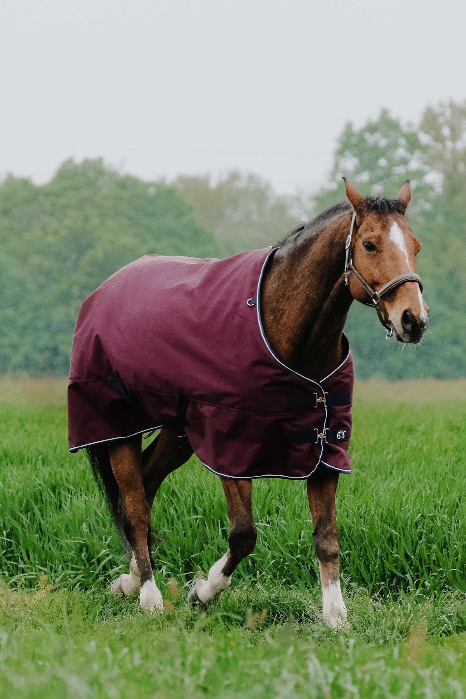 Equi Theme EQUITHÈME TYREX 1200D Turnout Rug, 300 g Horse Rugs
