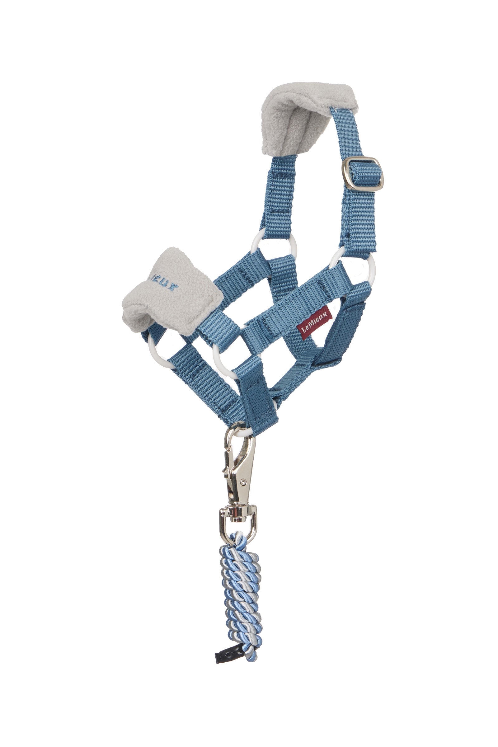 Alt Tag fallback text for IMAGE