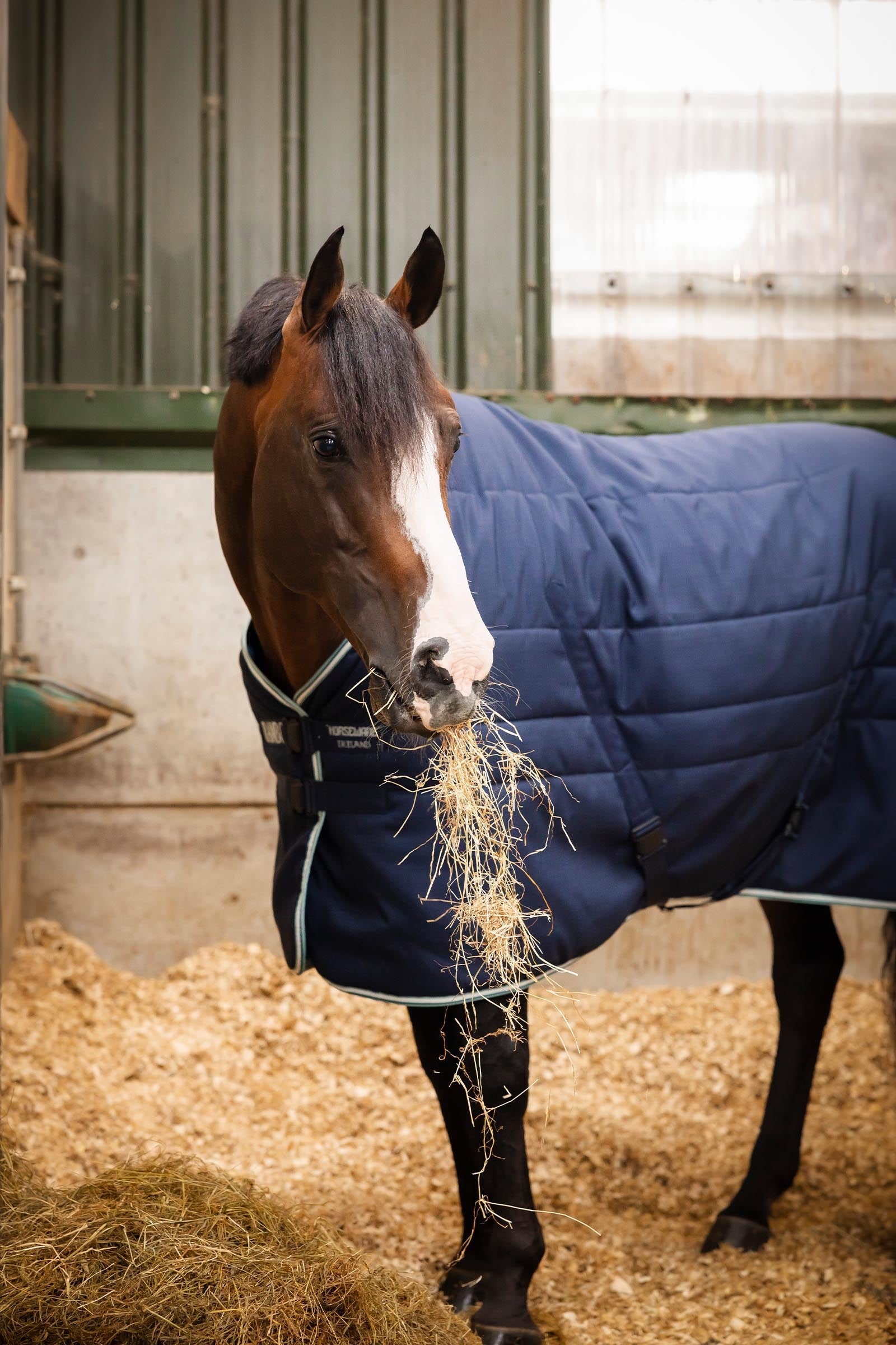 Horseware Rambo Magnetic Stable Rug, 200g Horse Rugs