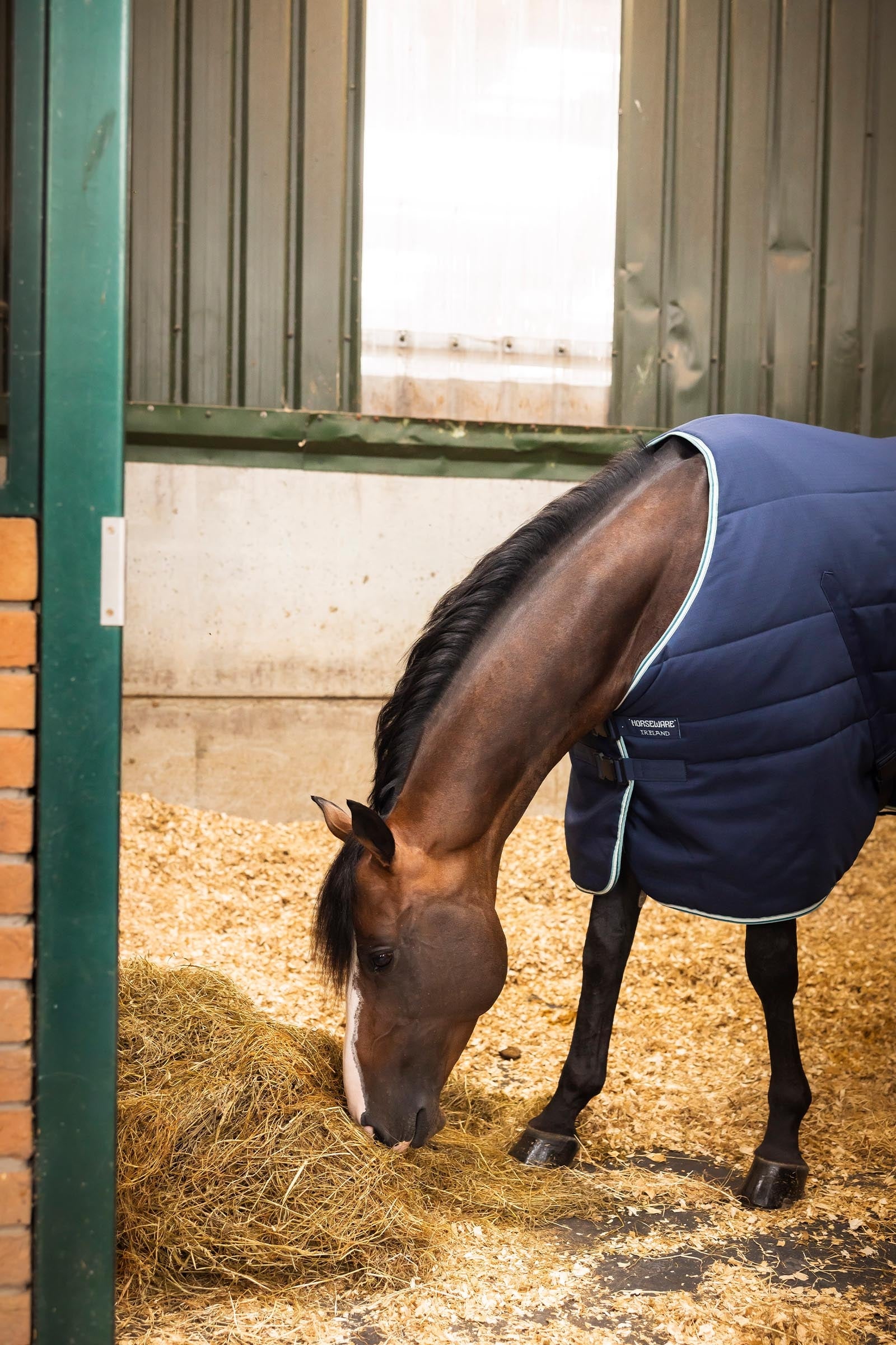Horseware Rambo Magnetic Stable Rug, 200g Horse Rugs