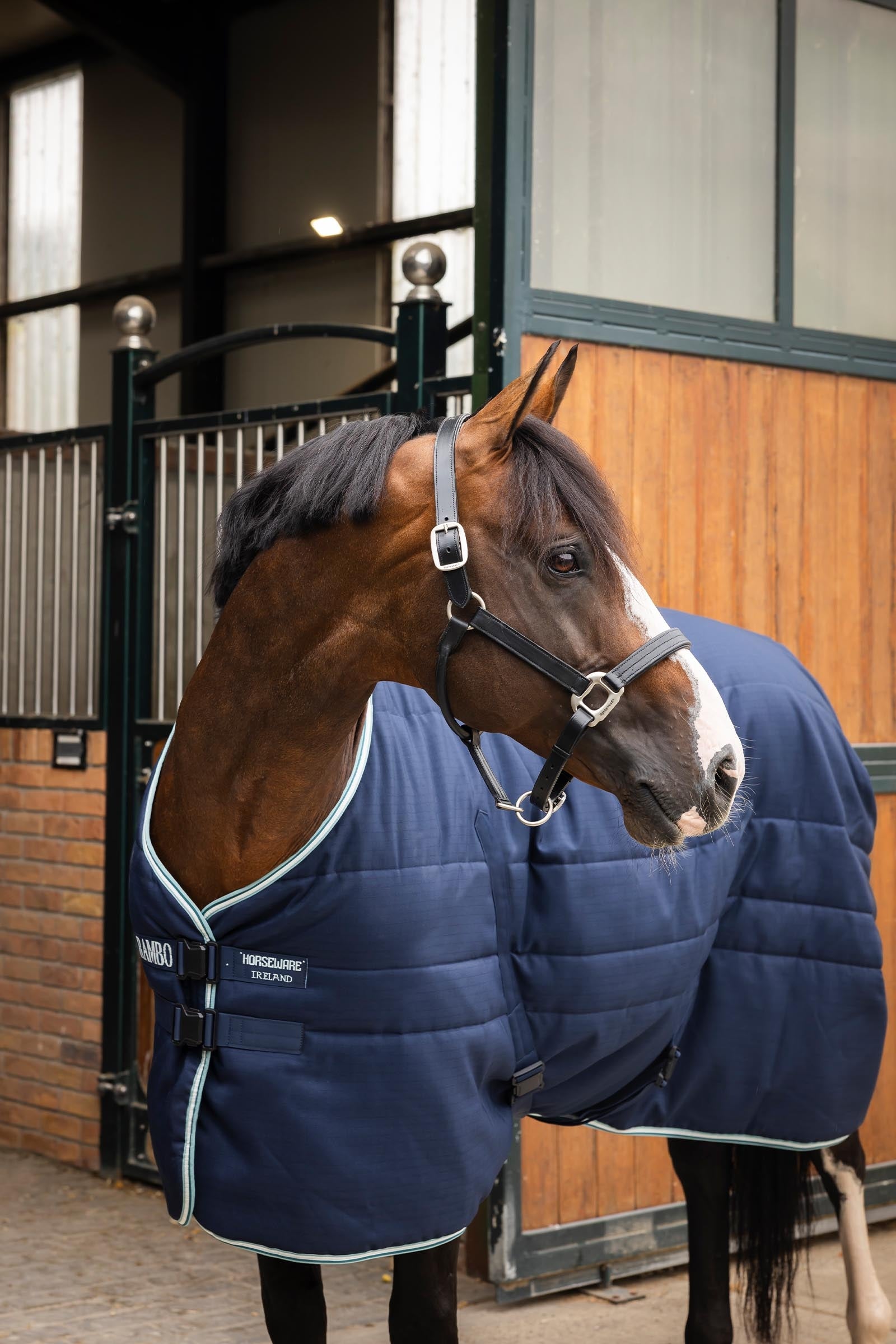 Horseware Rambo Magnetic Stable Rug, 200g Horse Rugs