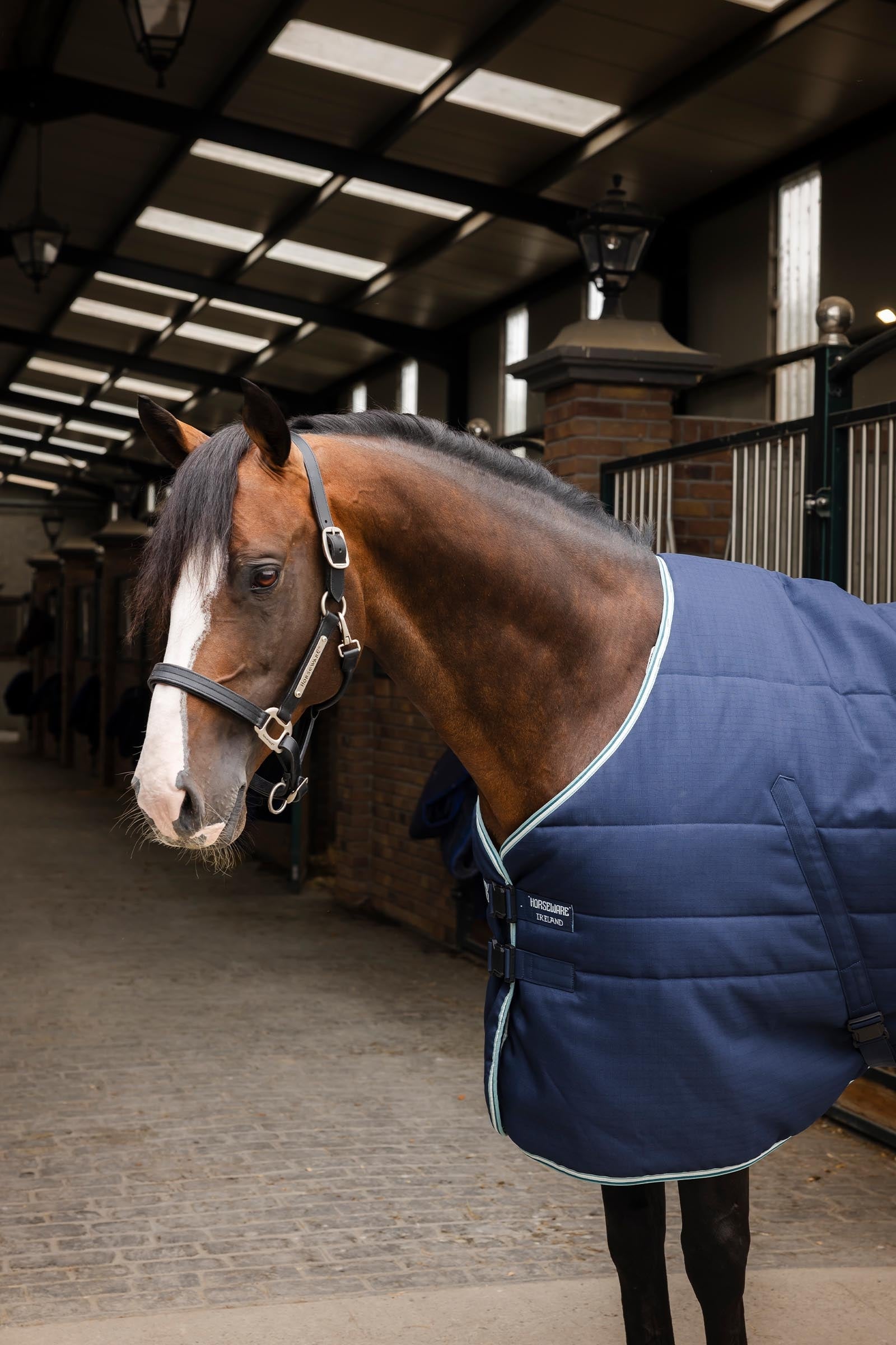 Horseware Rambo Magnetic Stable Rug, 200g Horse Rugs