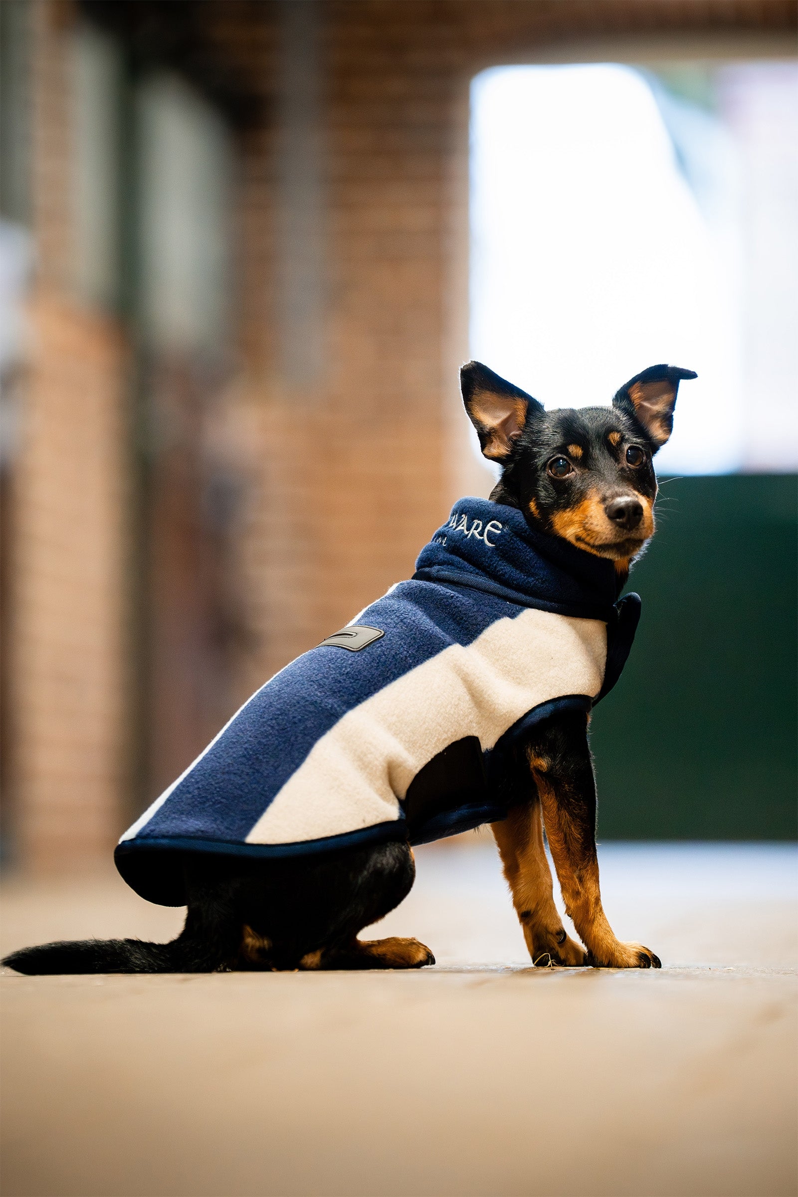 Horseware Signature Hundefleecedecke Hund