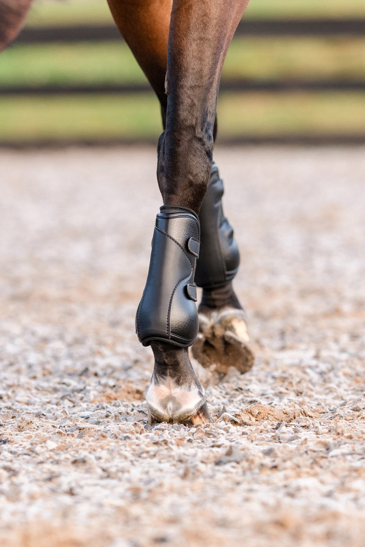 EquiFit D-Teq™ Pro2V™ Front Boot - ImpacTeq® Liner (Pair) Leg & Hoof Protection