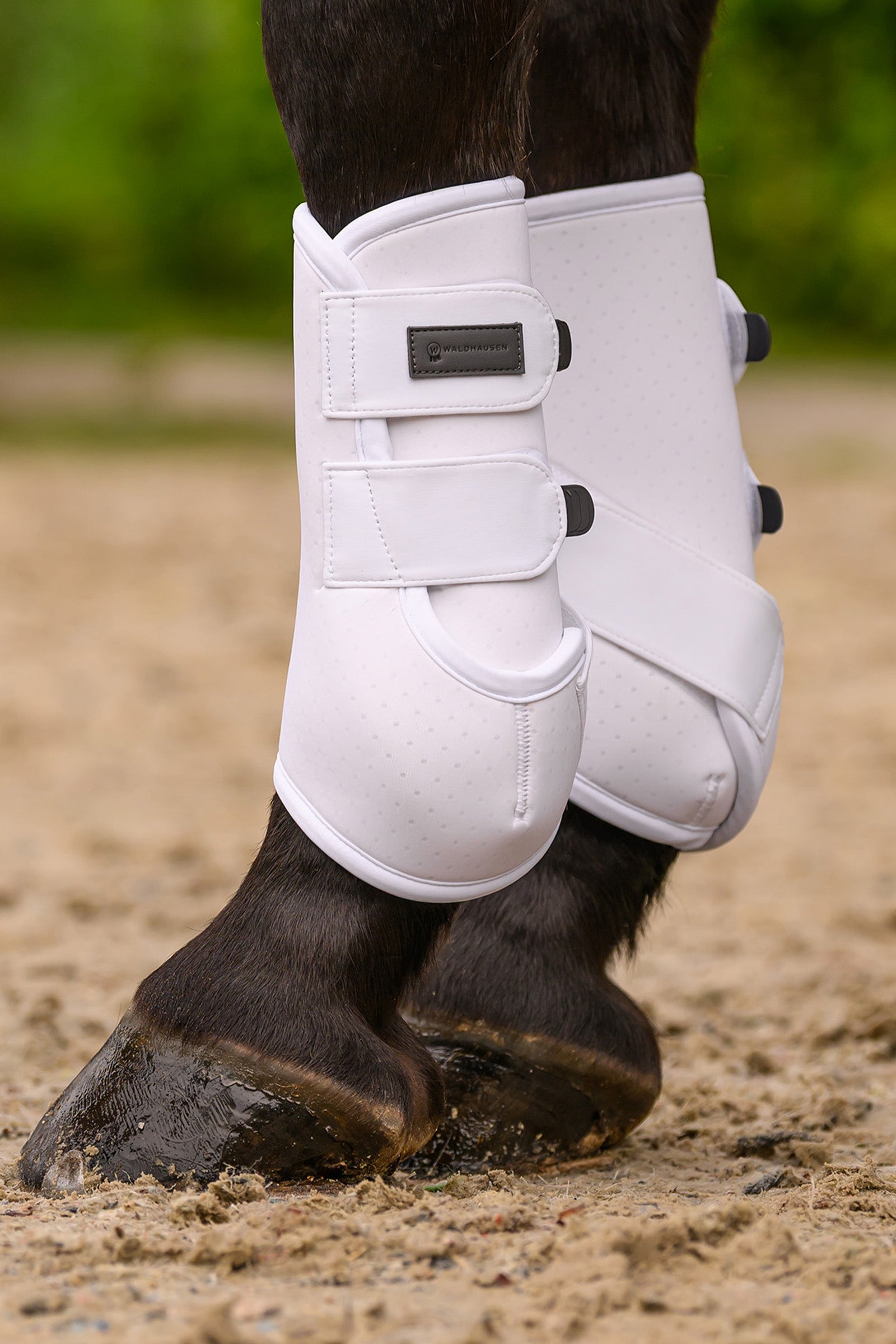 Waldhausen Air Performance Safety Boots Leg & Hoof Protection