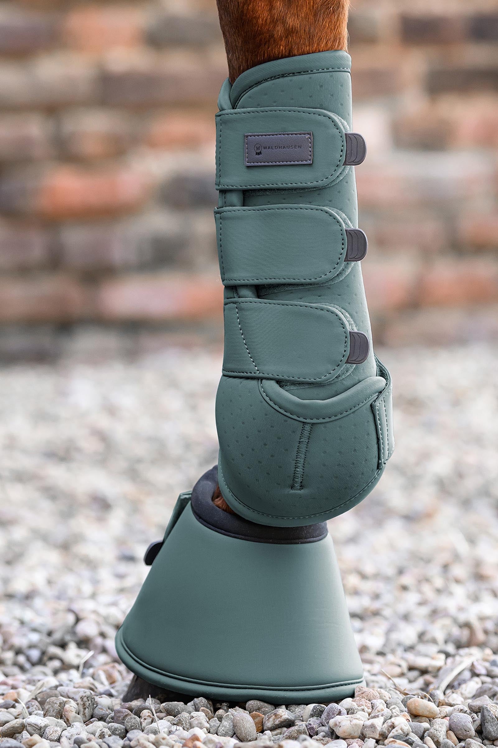 Waldhausen Air Performance Safety Boots Leg Protection & Hoof Protection for Horses