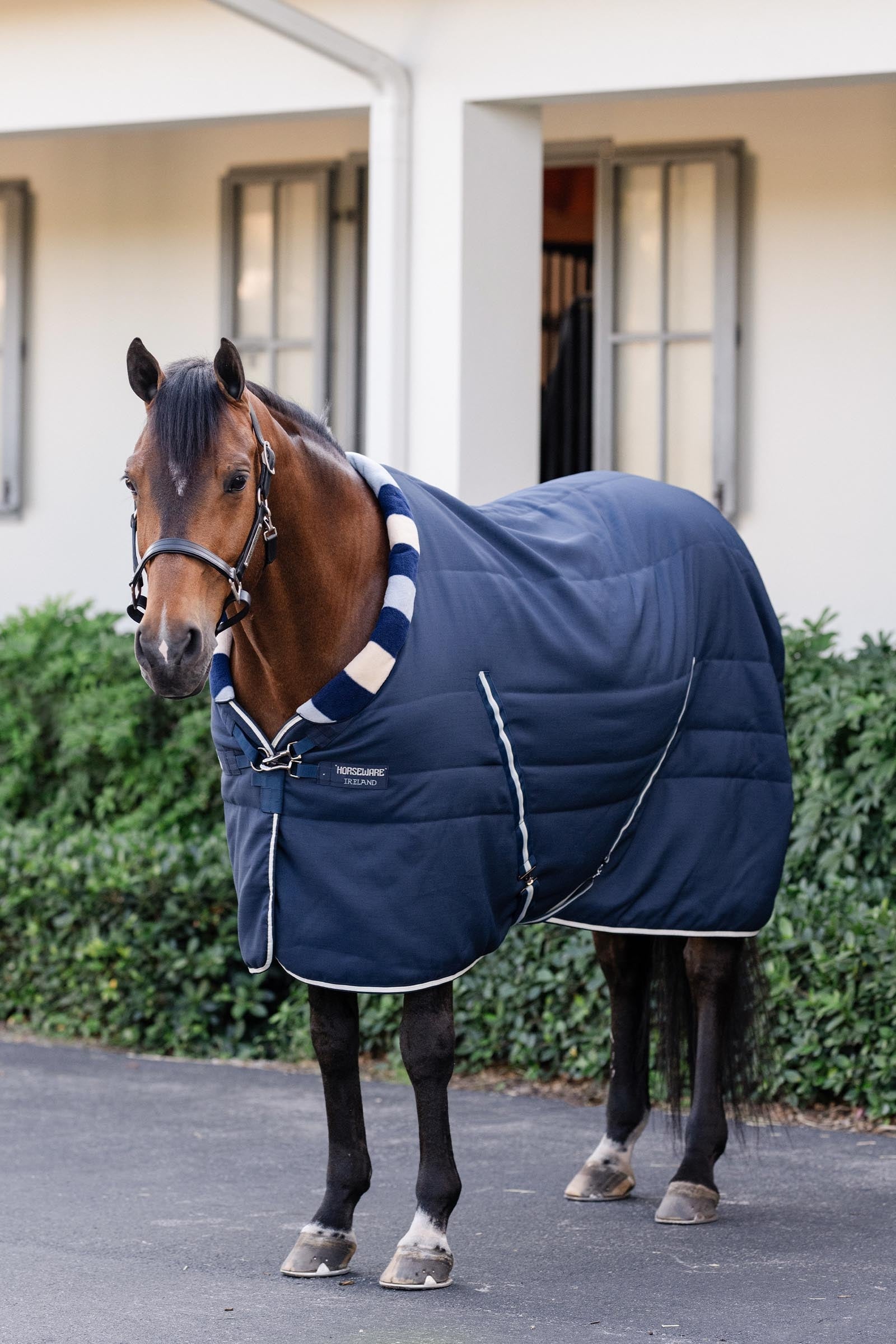 Horseware Newmarket Cosy Stable 100g Horse Rugs