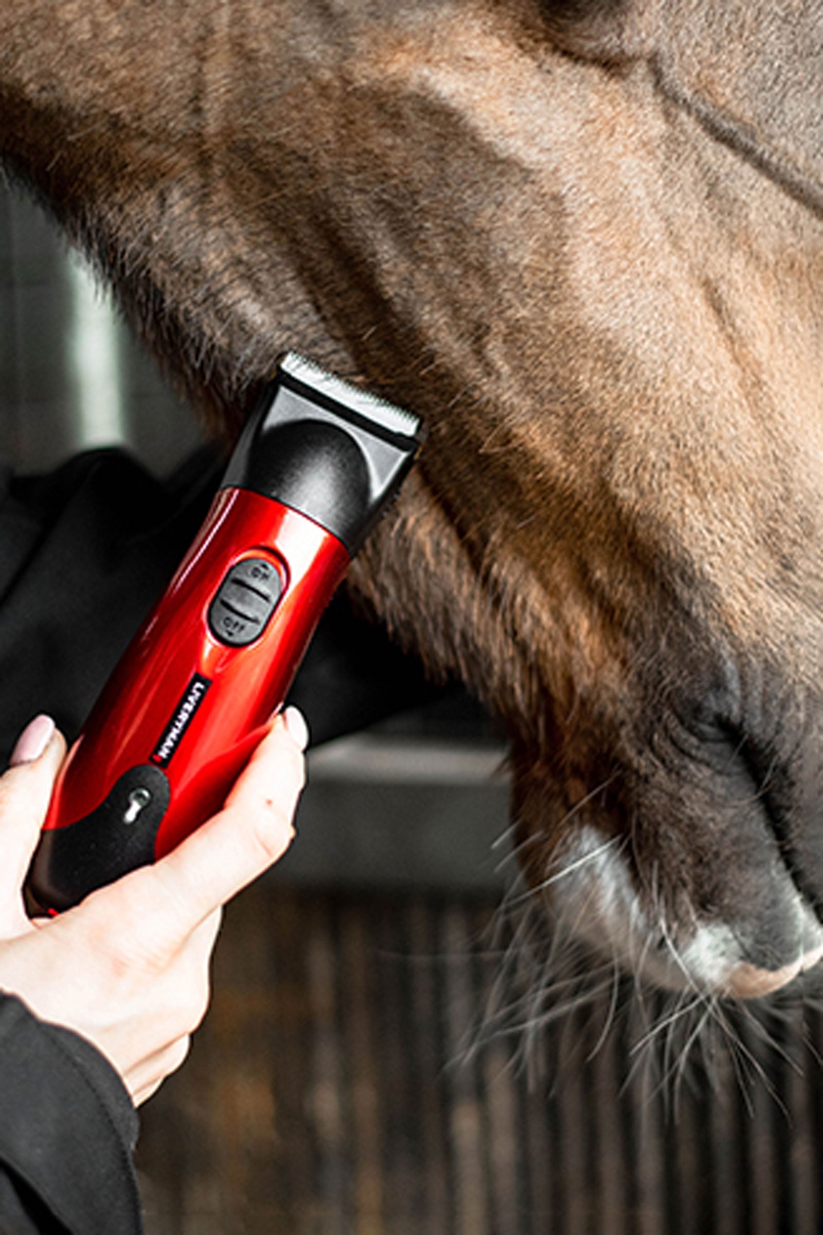Liveryman Classic Rechargable Trimmer Set Horse Clipping & Trimming Tools