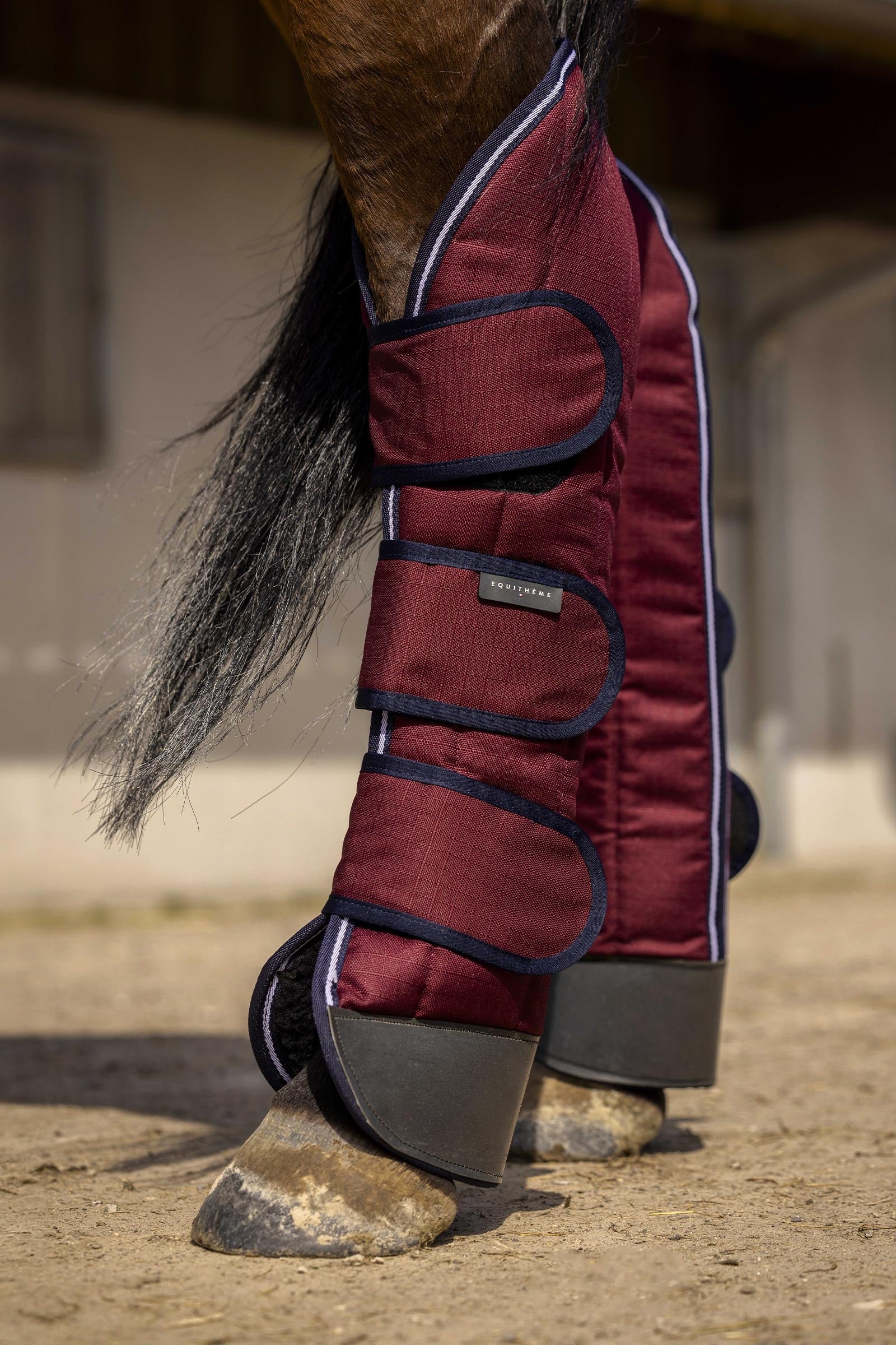 Equi Theme EQUITHÈME TYREX 1200D Reinforced Transport Boots Leg & Hoof Protection