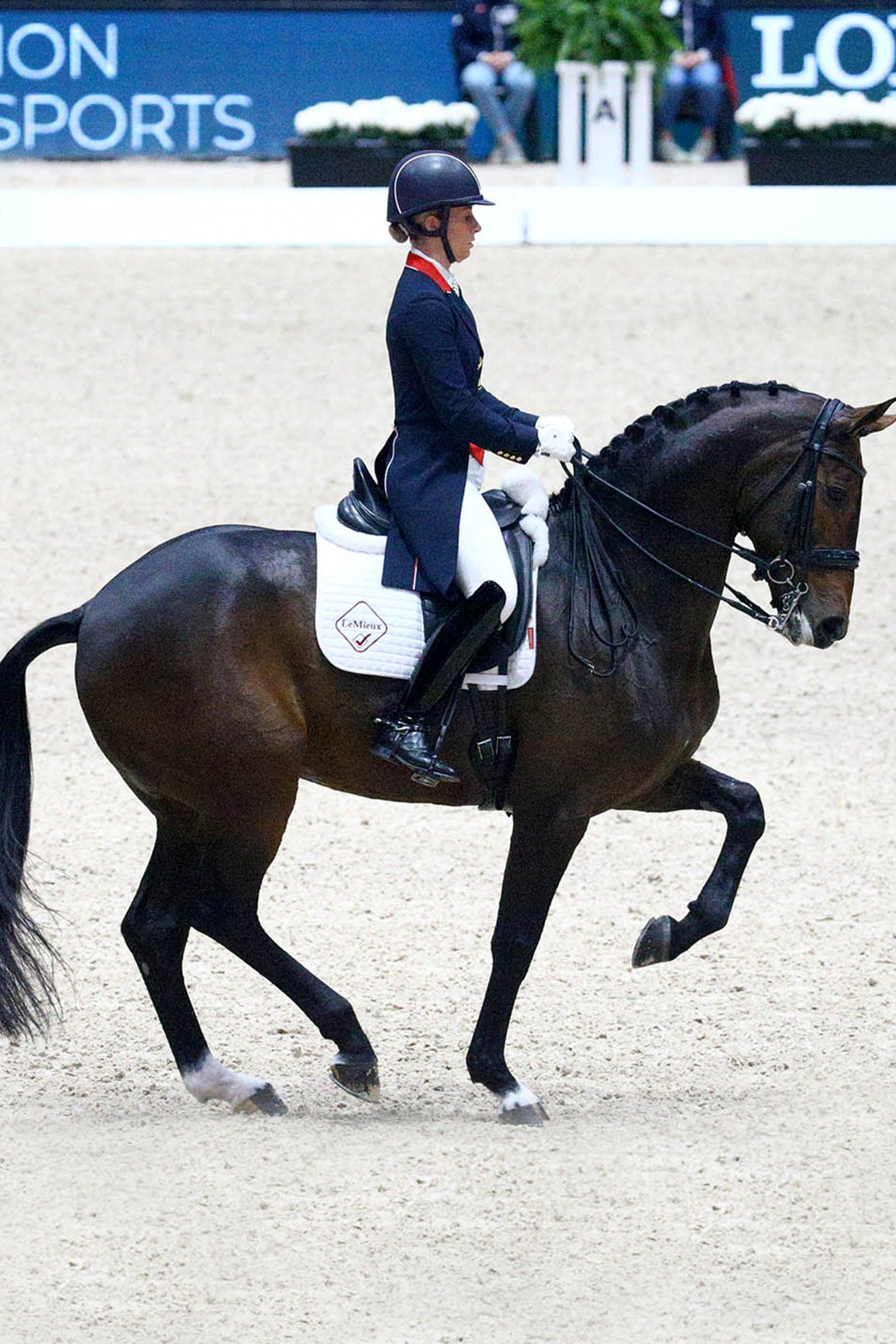 LeMieux Dressage Competition Square Saddle Pads