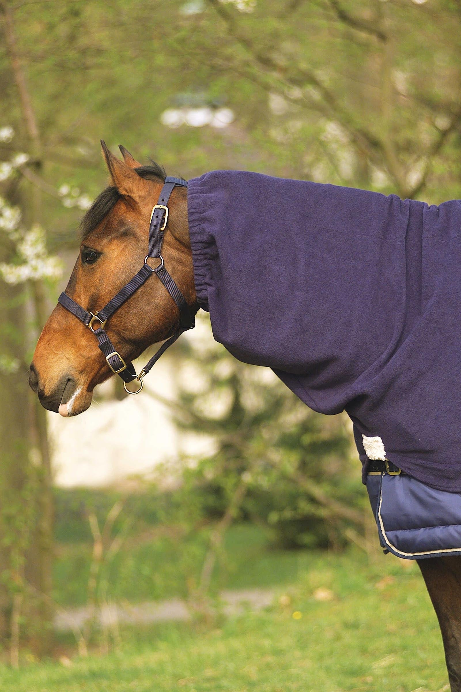Equi Theme EQUITHÈME Polar Fleece Neck Cover Horse Rugs