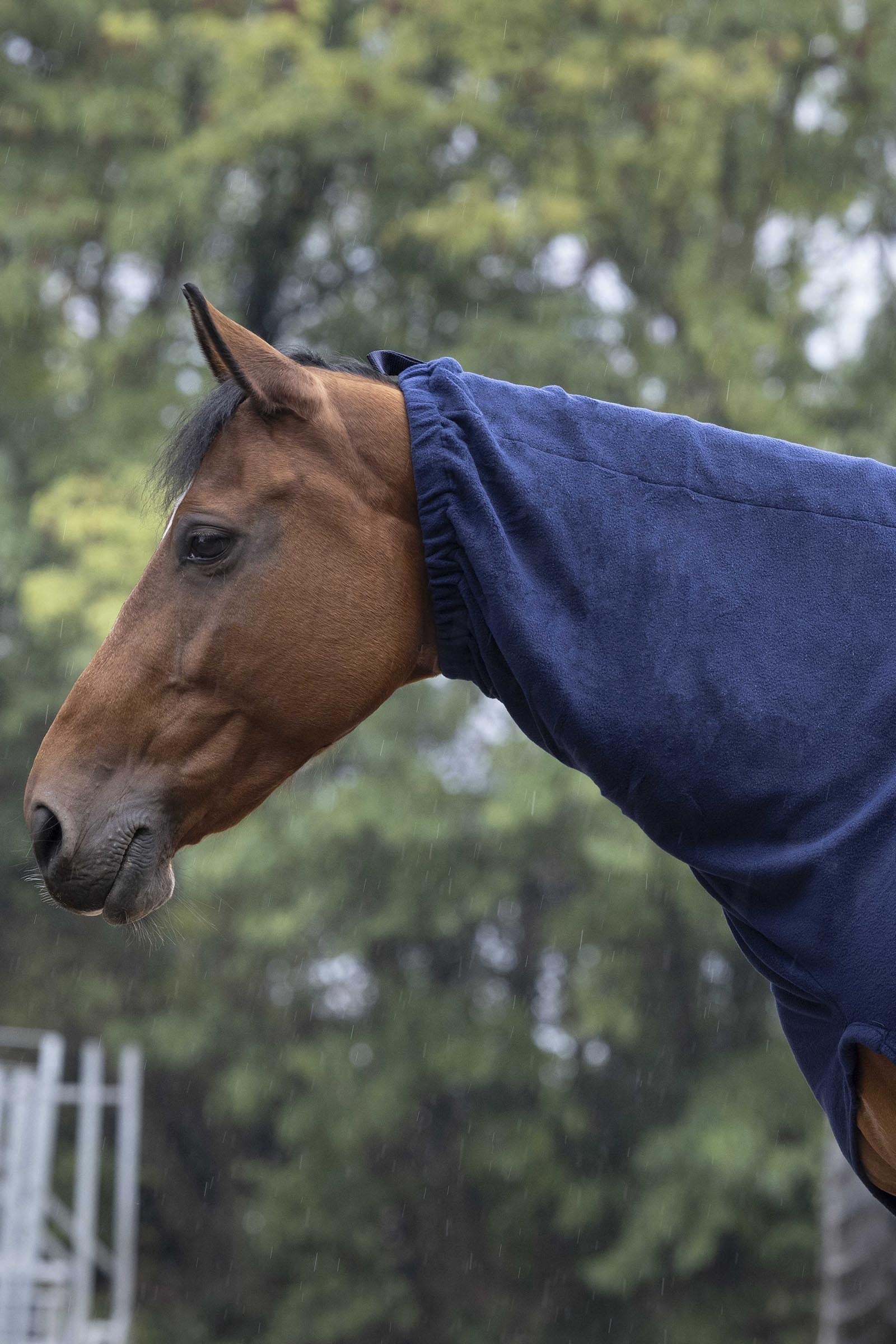 Equi Theme EQUITHÈME Polar Fleece Neck Cover Horse Rugs
