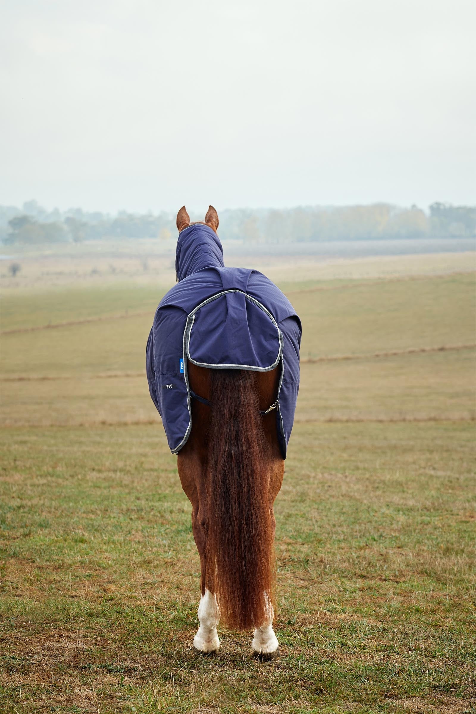 Weatherbeeta Comfitec Tyro Turnout Rug Combo Neck 50g Horse Rugs