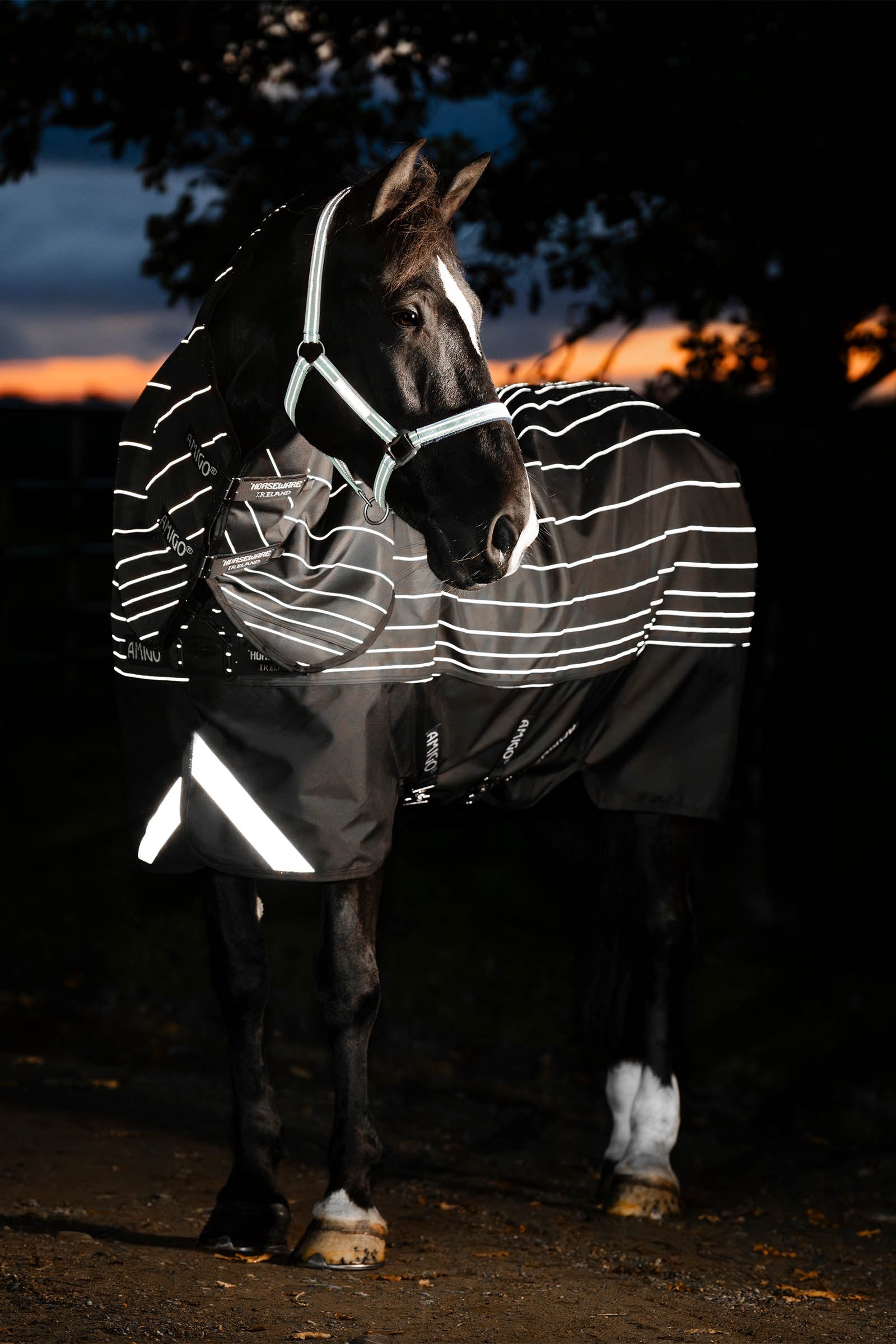 Horseware Amigo 1200D FieldSafe Reflectech Plus Outdoordecke, 100 g Pferdedecken