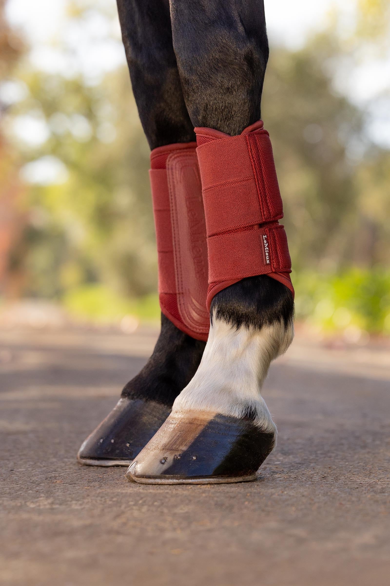 LeMieux Arika Mesh Brushing Boots Leg & Hoof Protection