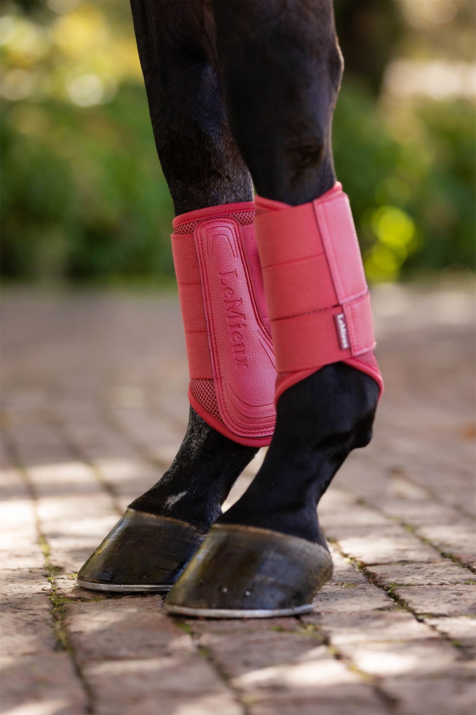 LeMieux Arika Mesh Brushing Boots Leg Protection & Hoof Protection for Horses