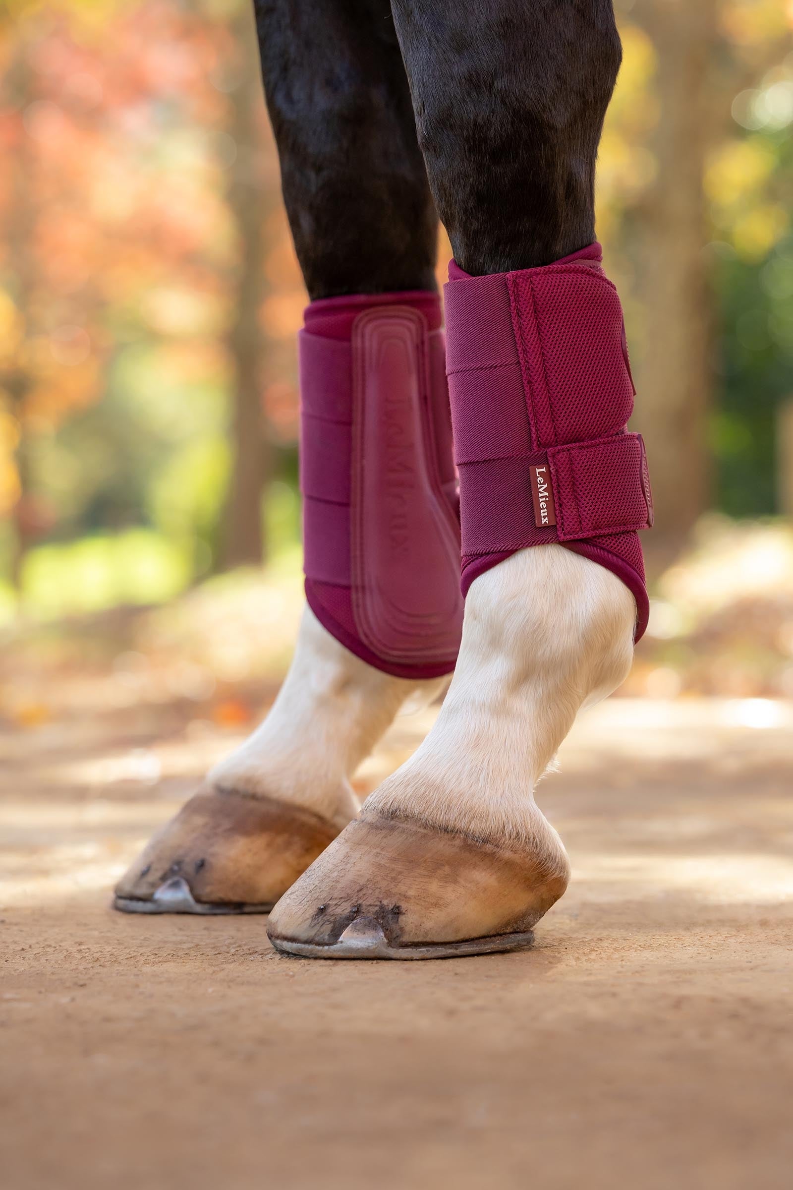 LeMieux Arika Mesh Brushing Boots Leg & Hoof Protection