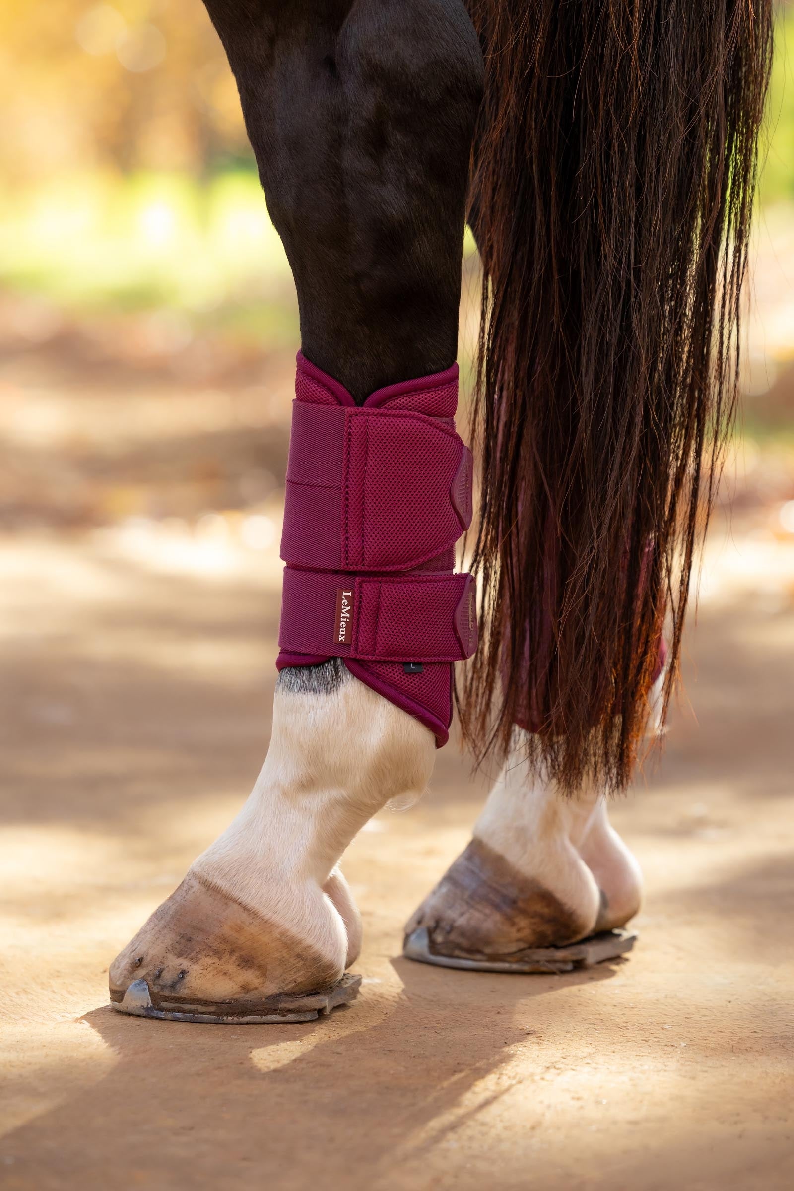 LeMieux Arika Mesh Brushing Boots Leg & Hoof Protection