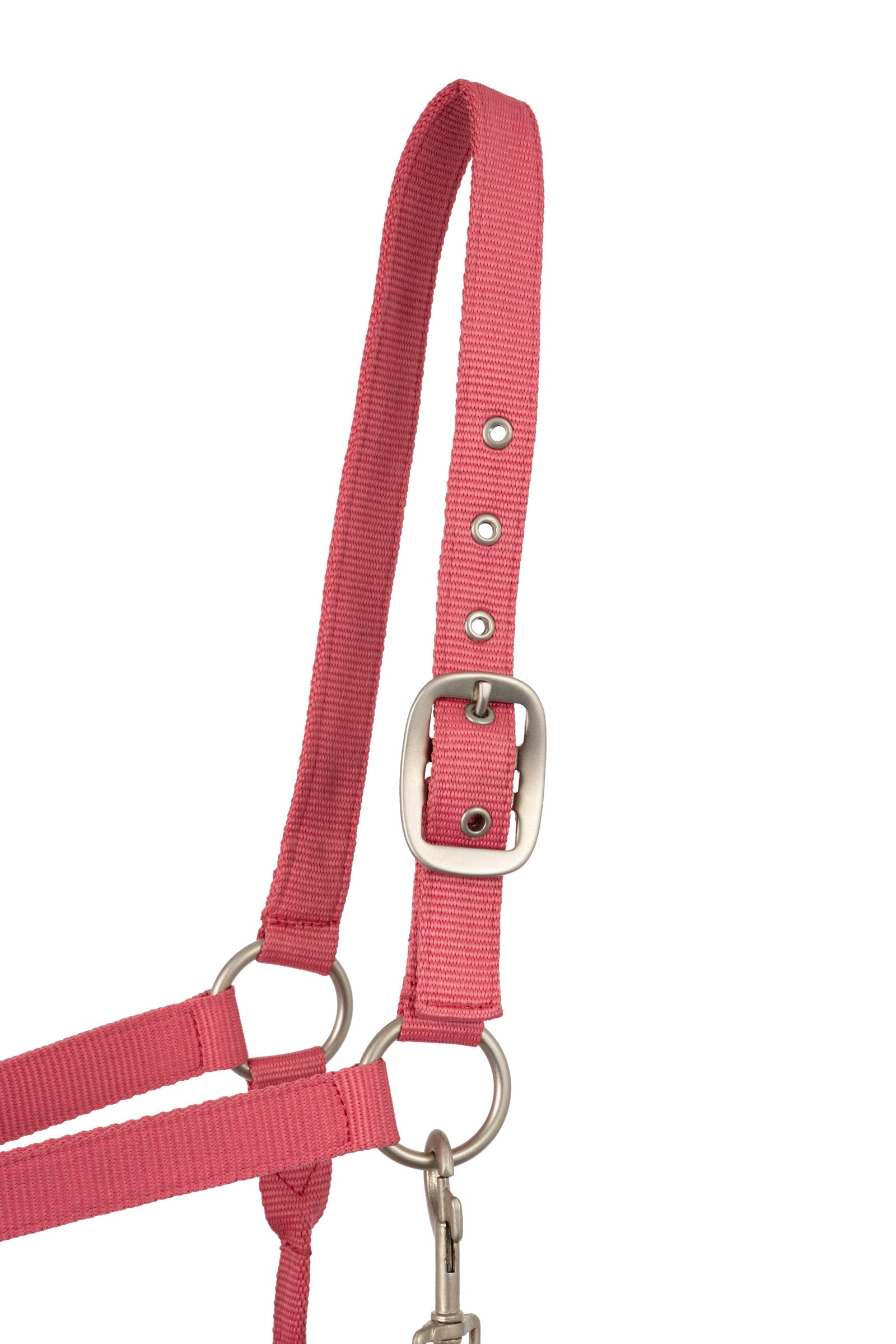 Horze Rose Tonique Halter Halters & Leads