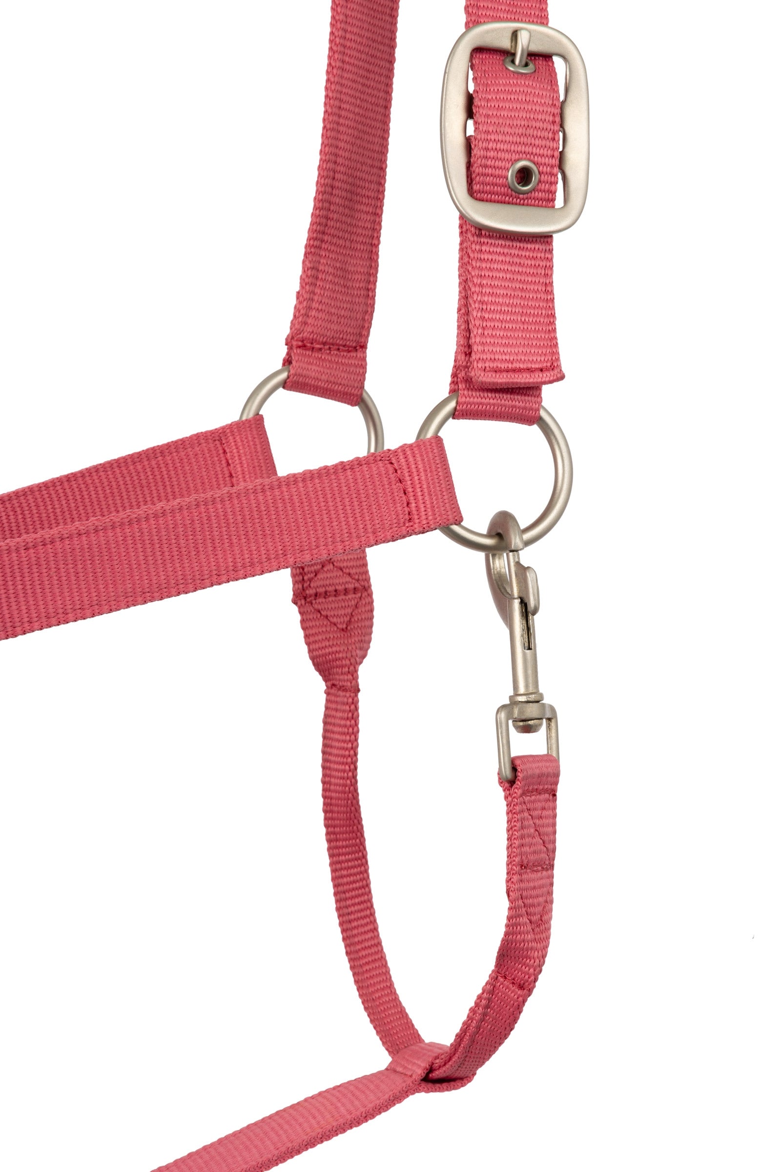 Horze Rose Tonique Halter Halters & Leads