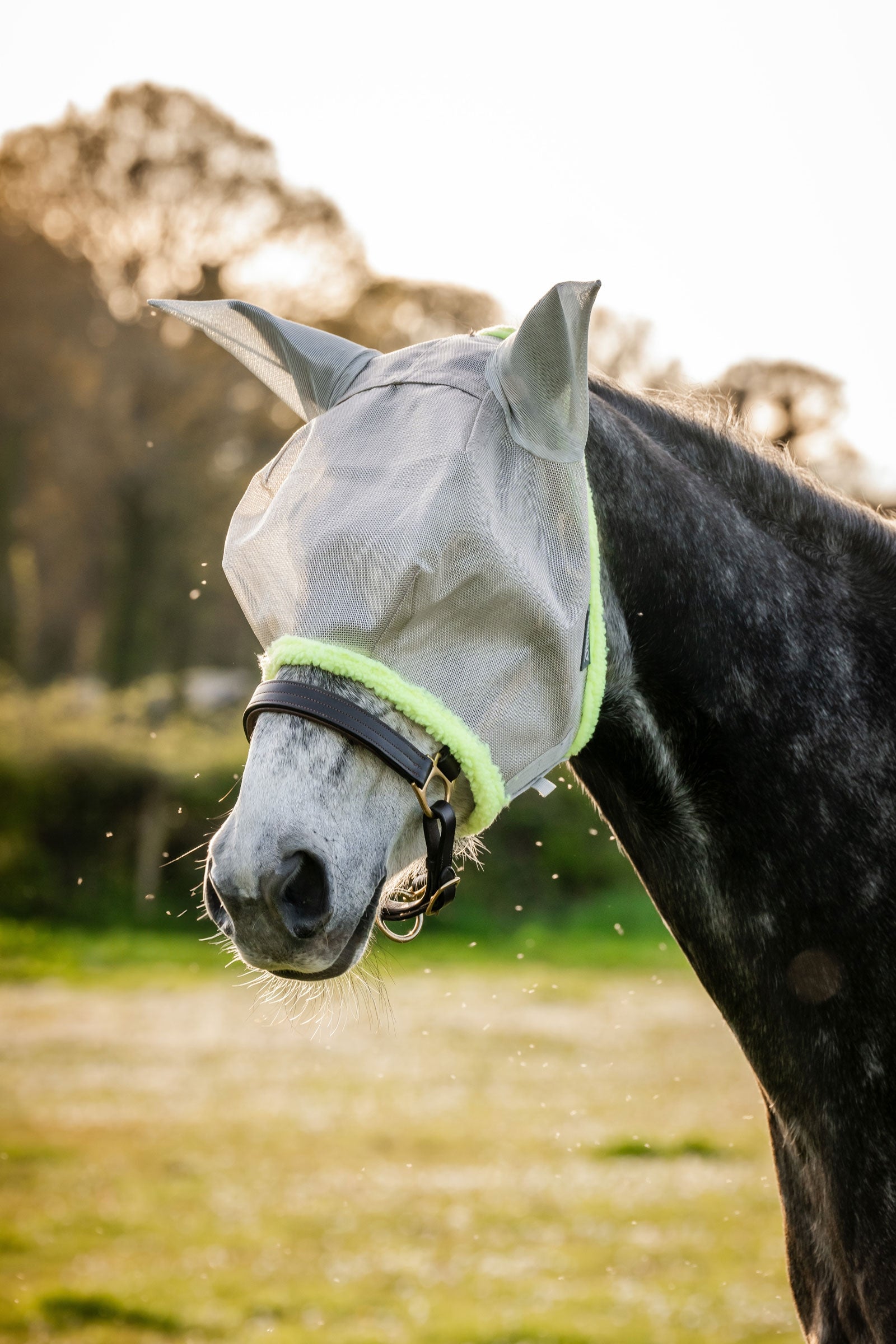Horseware Amigo Fliegenmaske Fliegenschutz