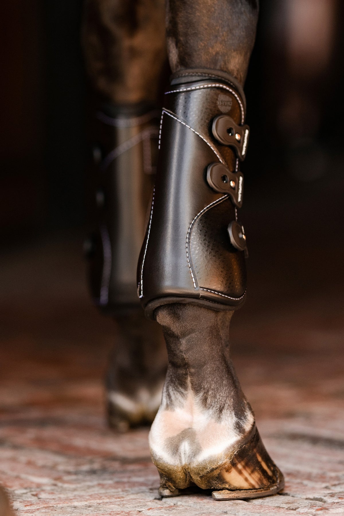EquiFit D-Teq™ Front Boot - ImpacTeq® Liner (Pair) Leg & Hoof Protection