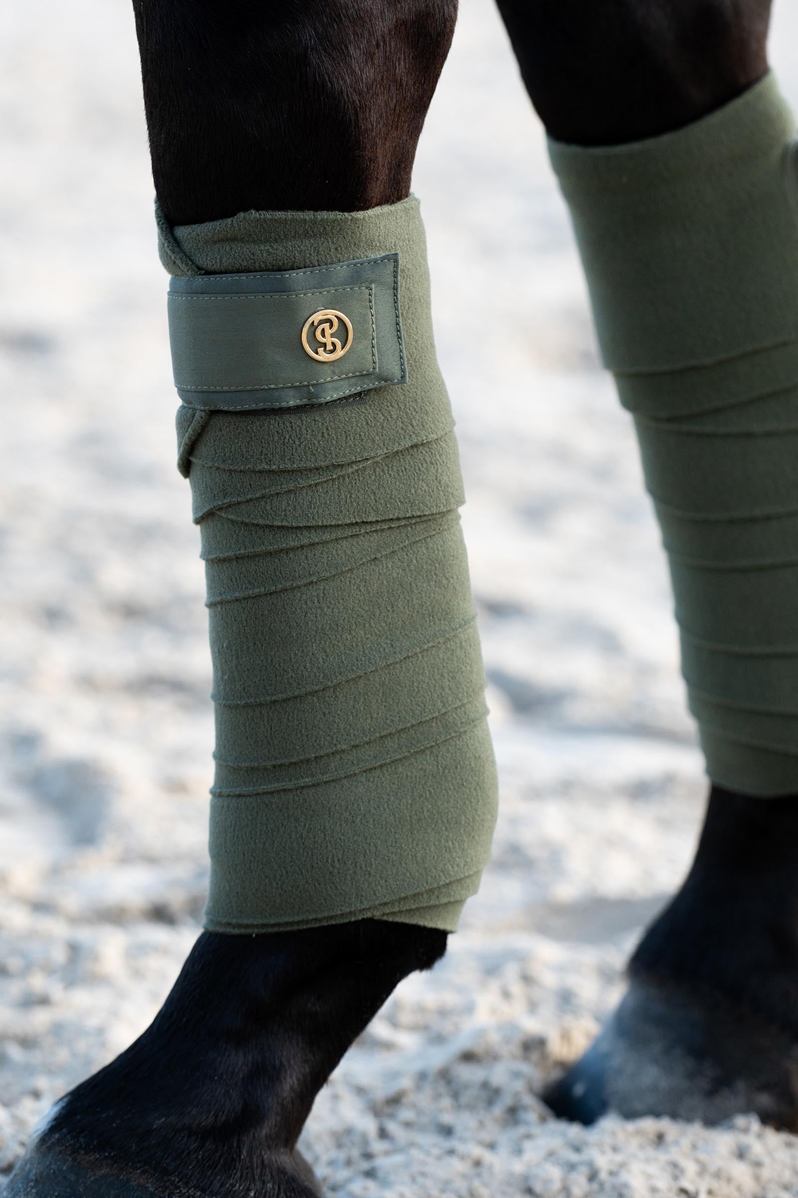 PS of Sweden Polos Signature Leg Protection & Hoof Protection for Horses