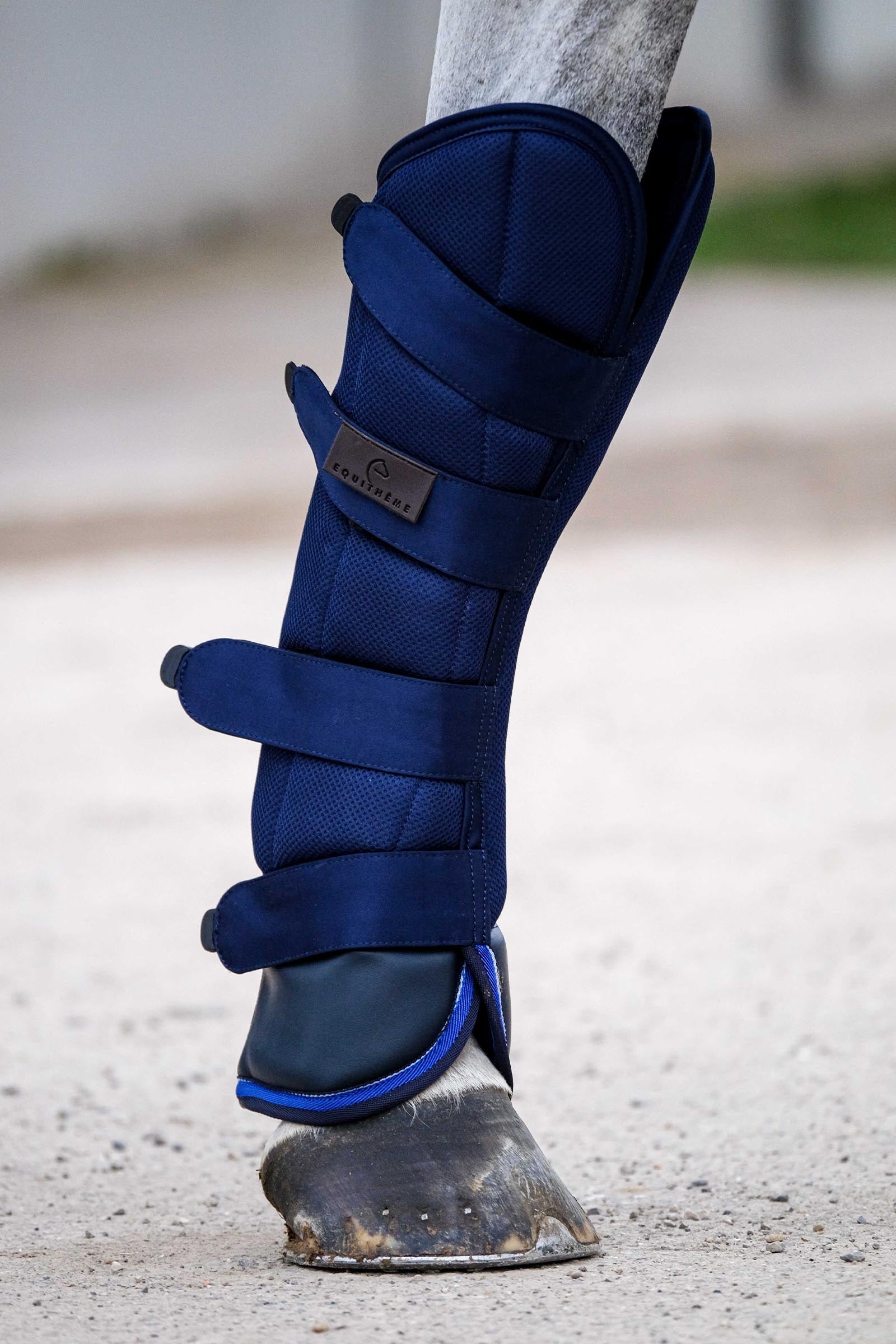 Equi Theme EQUITHÈME Classic Transportgamaschen Leg & Hoof Protection