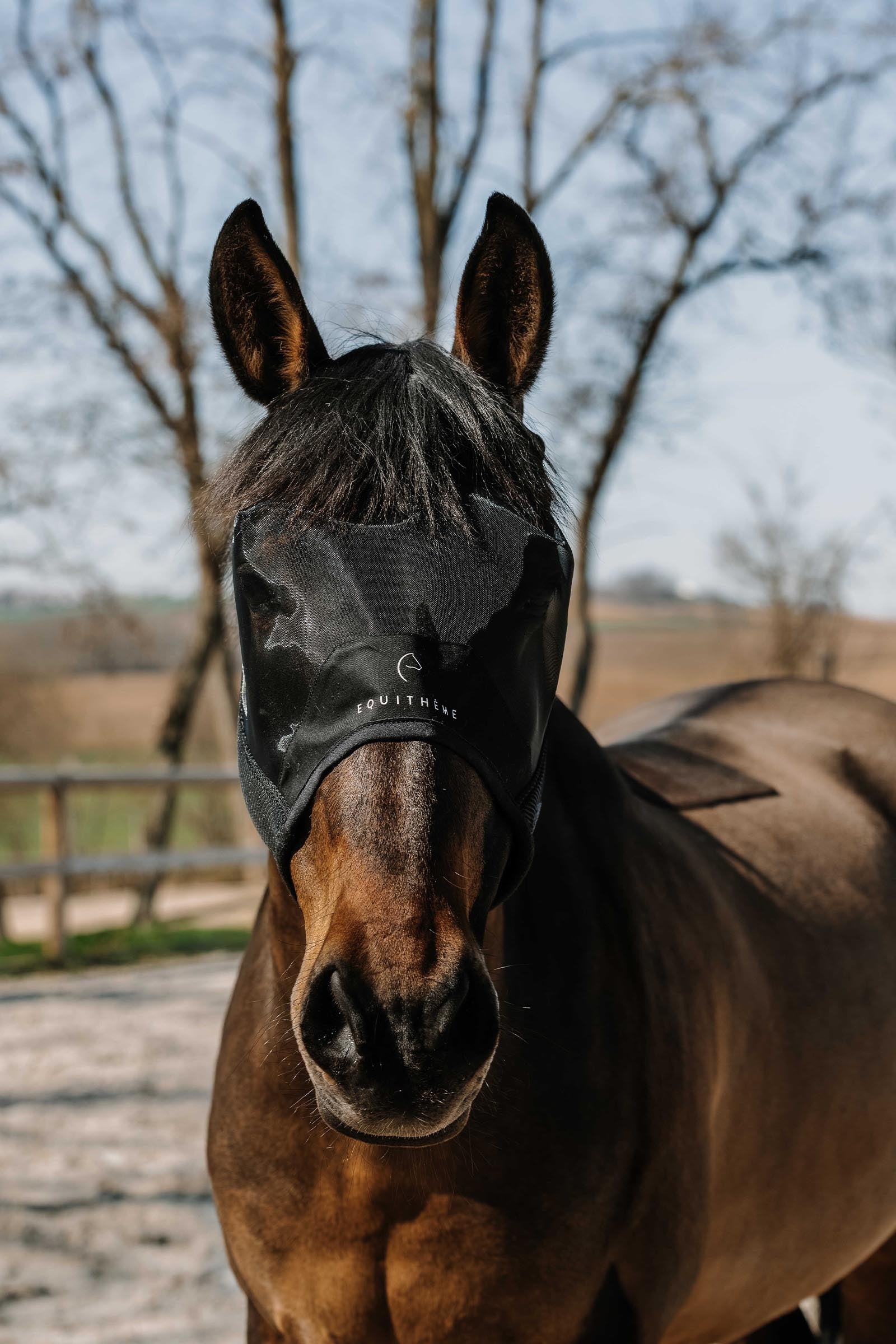 Equi Theme EQUITHÈME Mesh Fly Mask/ UV Mask Without Ears Antifly Protection for Horses