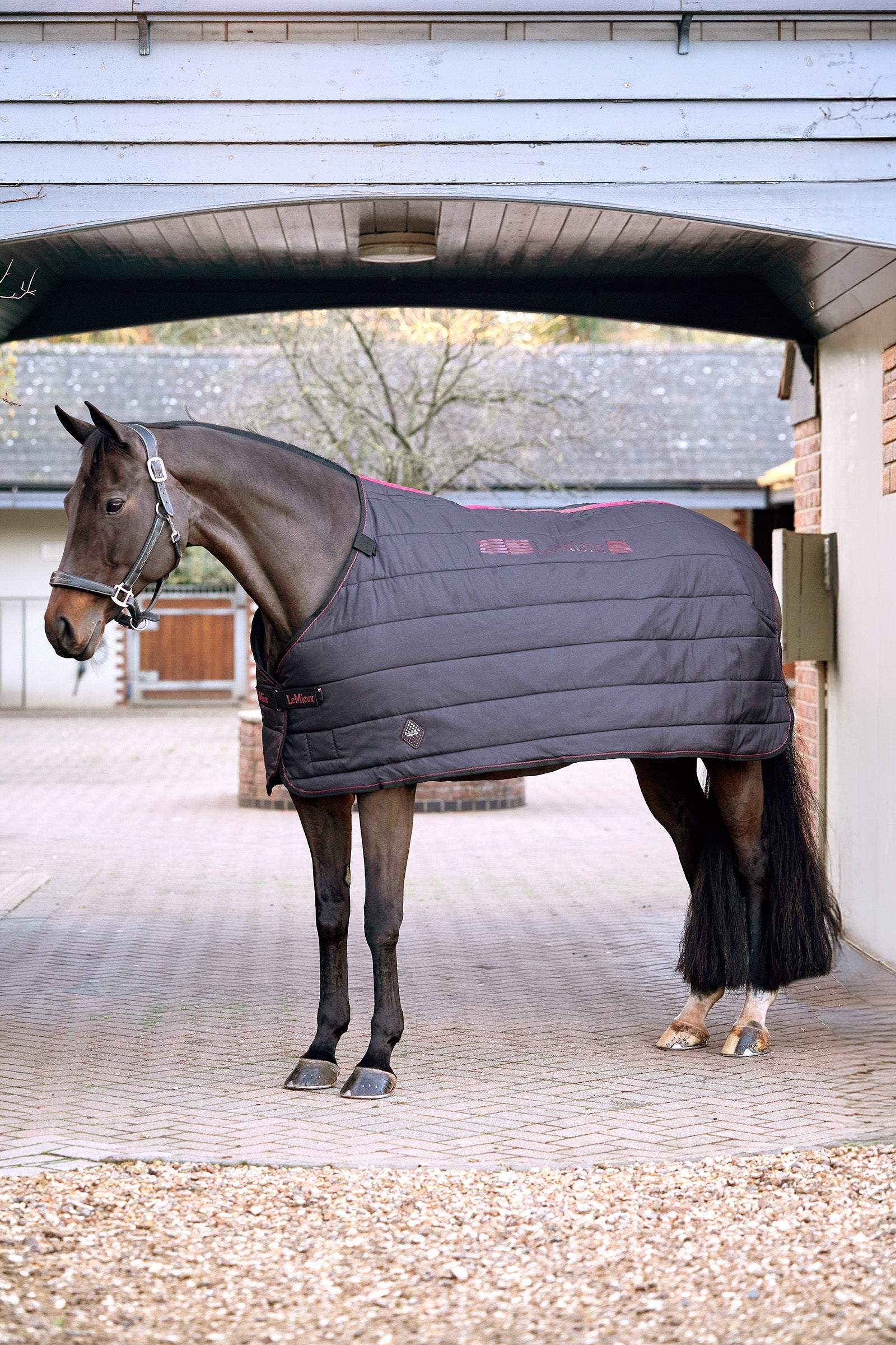 LeMieux InfraTek Therapy Liner, 100 g Horse Rugs