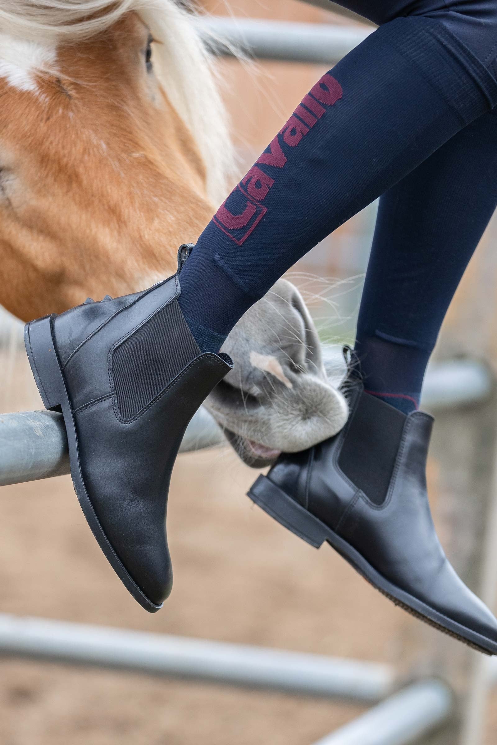 Cavallo CAVALCHELSEA Slim Jodhpur Boots Riding Boots & Riding Shoes