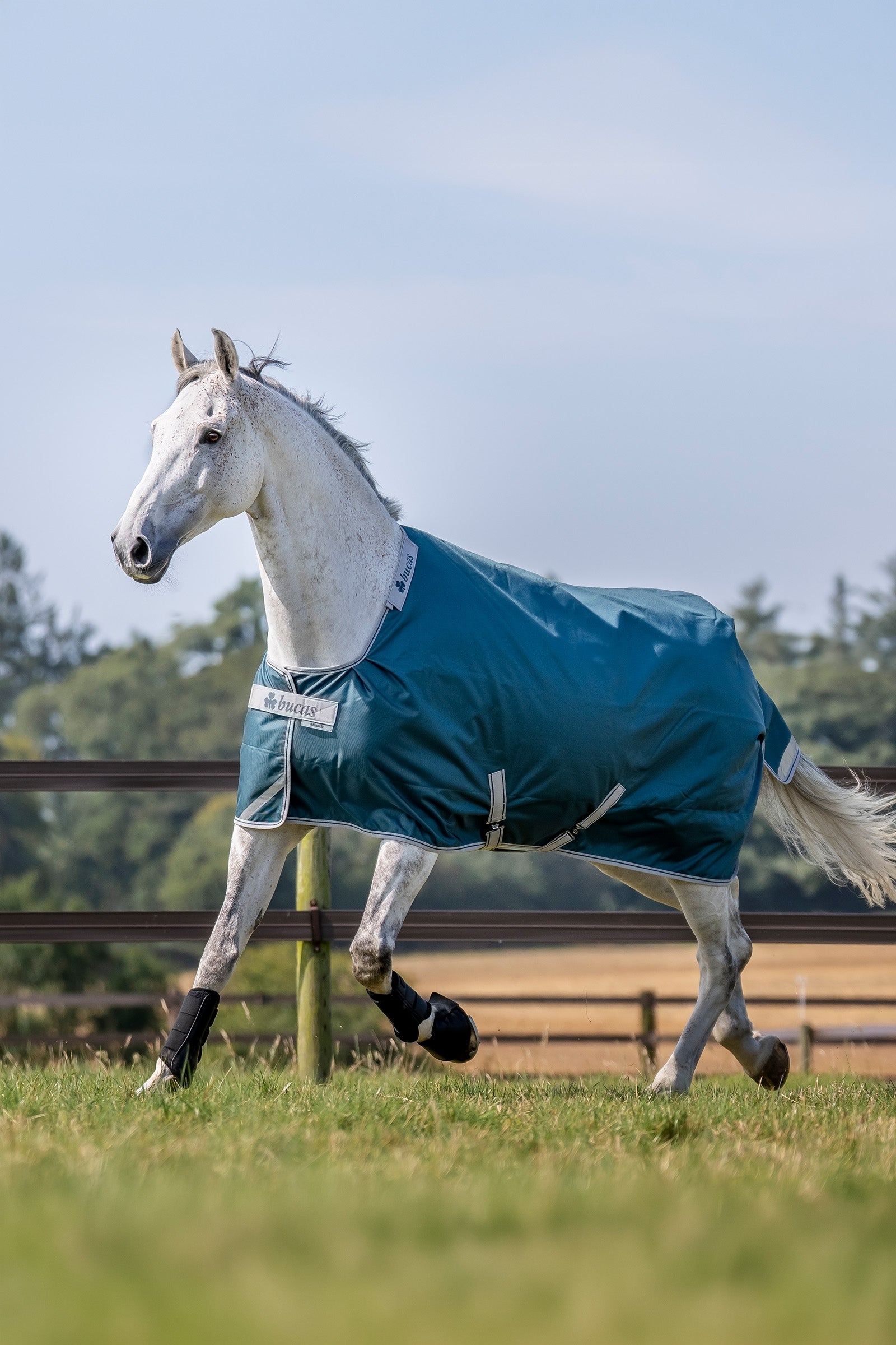 Bucas Atlantic Turnout Rug, 50g Horse Rugs