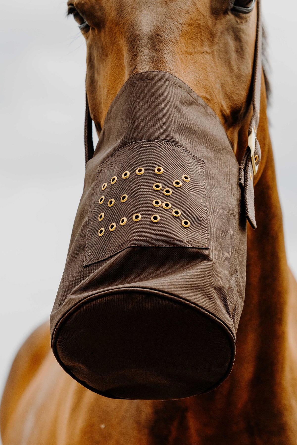 HIPPOTONIC 600D Feed Bag Horse Feeders & Waterers