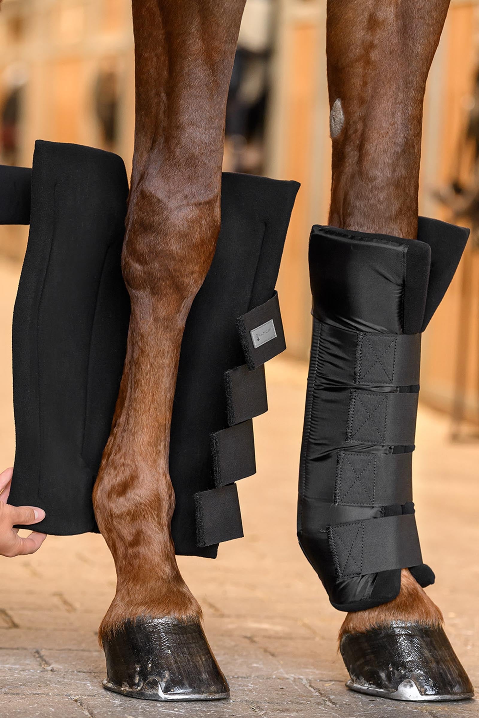 Waldhausen Front Stable Boots With Joint Support Leg & Hoof Protection