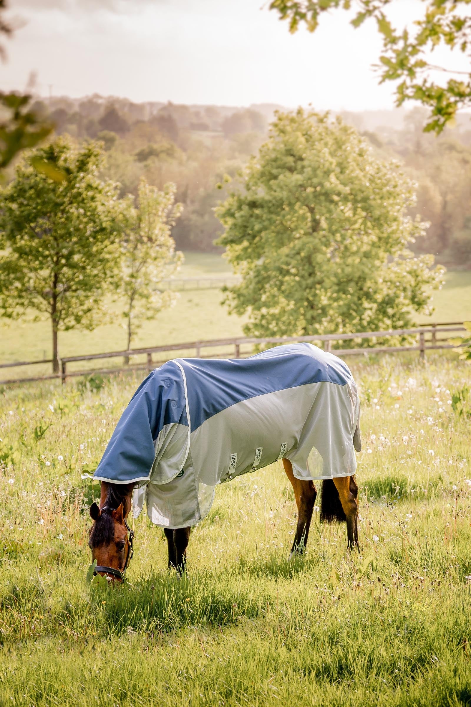 Horseware Amigo AmEco Combi Fly Rug Horse Rugs