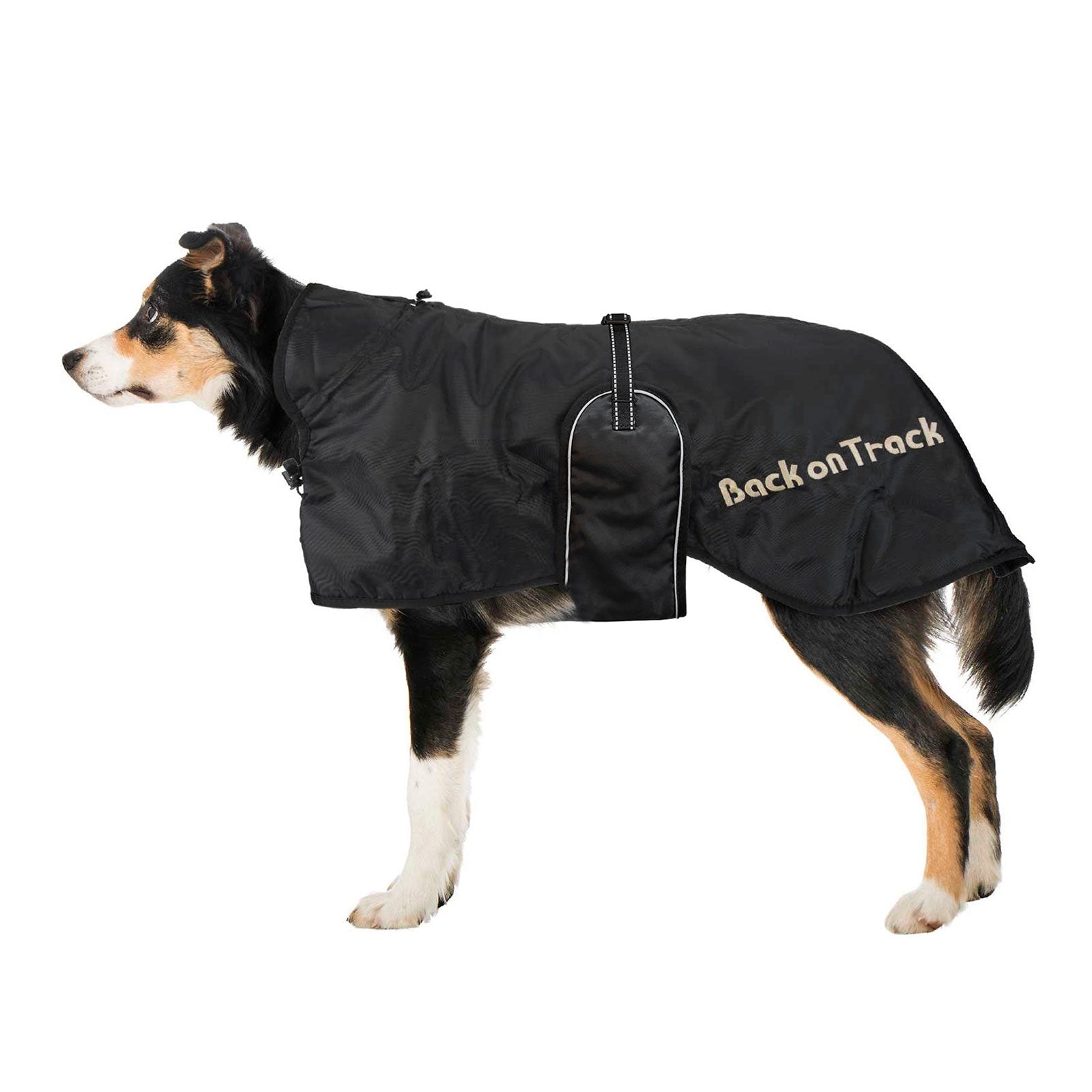 undefined Back on Track Dog Rug 43-59 Dog Accesories