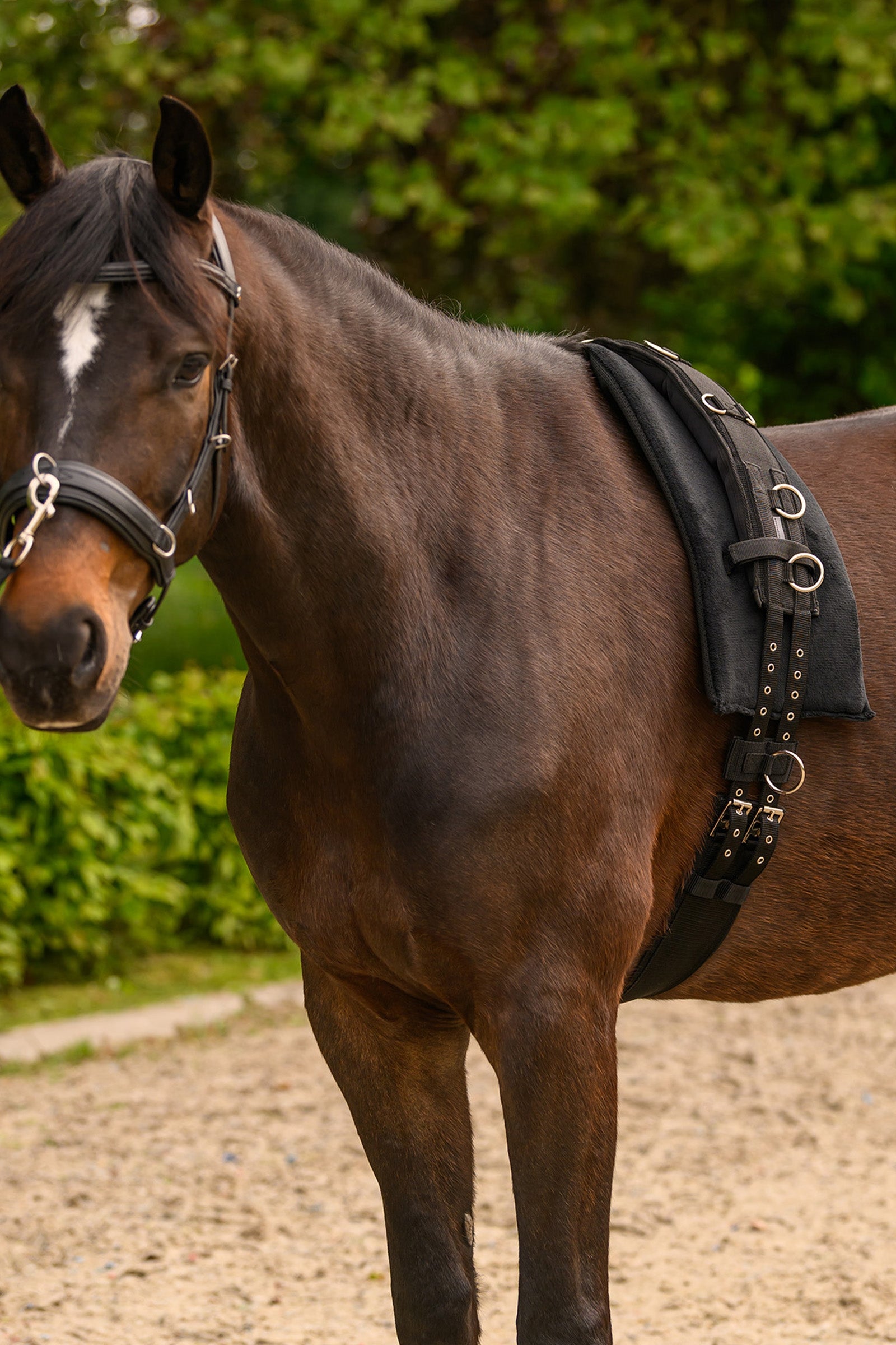 Waldhausen Extra Ring Padded for Lunging Girth Saddles, Girths & Stirrups