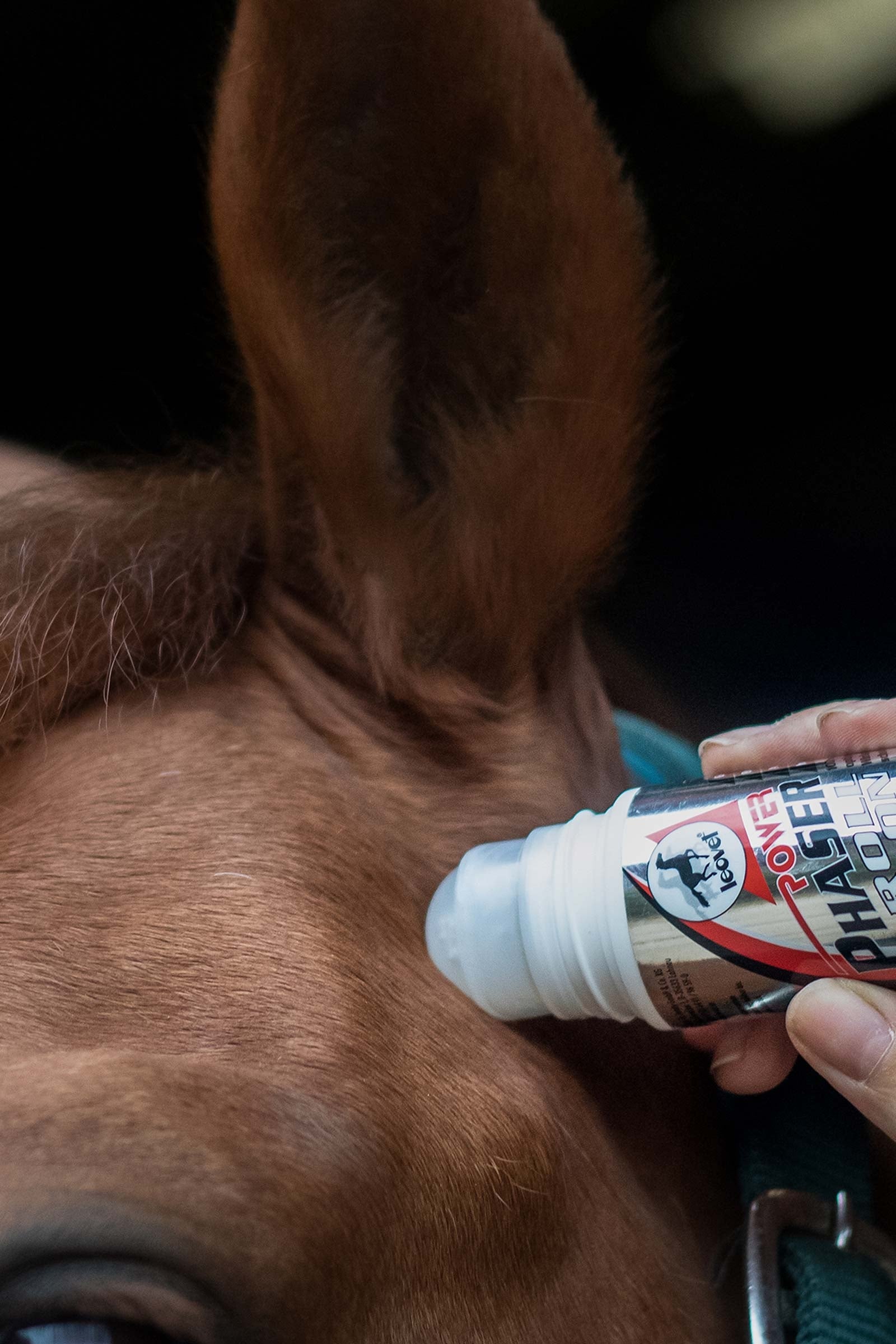 Leovet Power Phaser Roll On 75ml Antifly Protection for Horses
