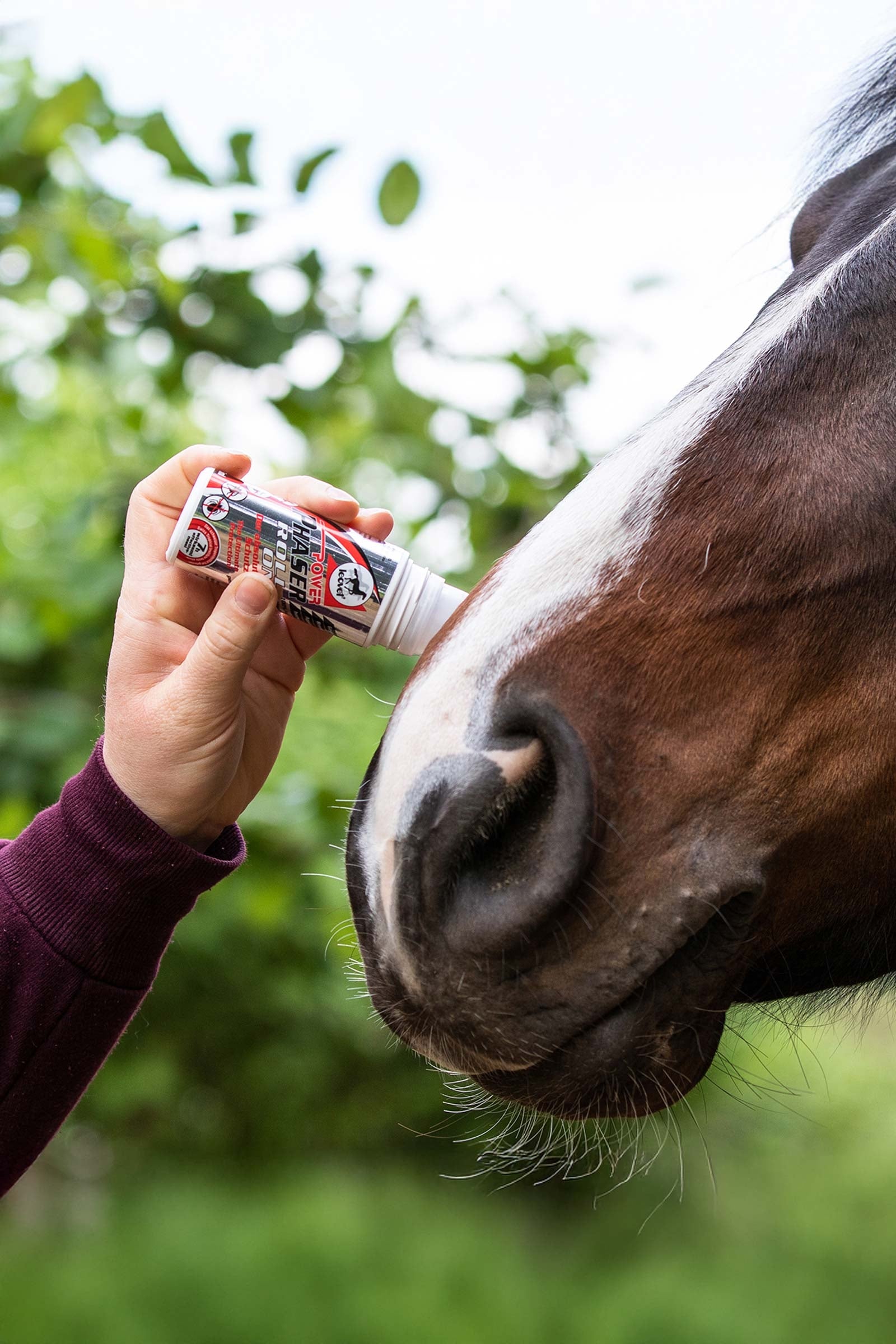 Leovet Power Phaser Roll On 75ml Antifly Protection for Horses