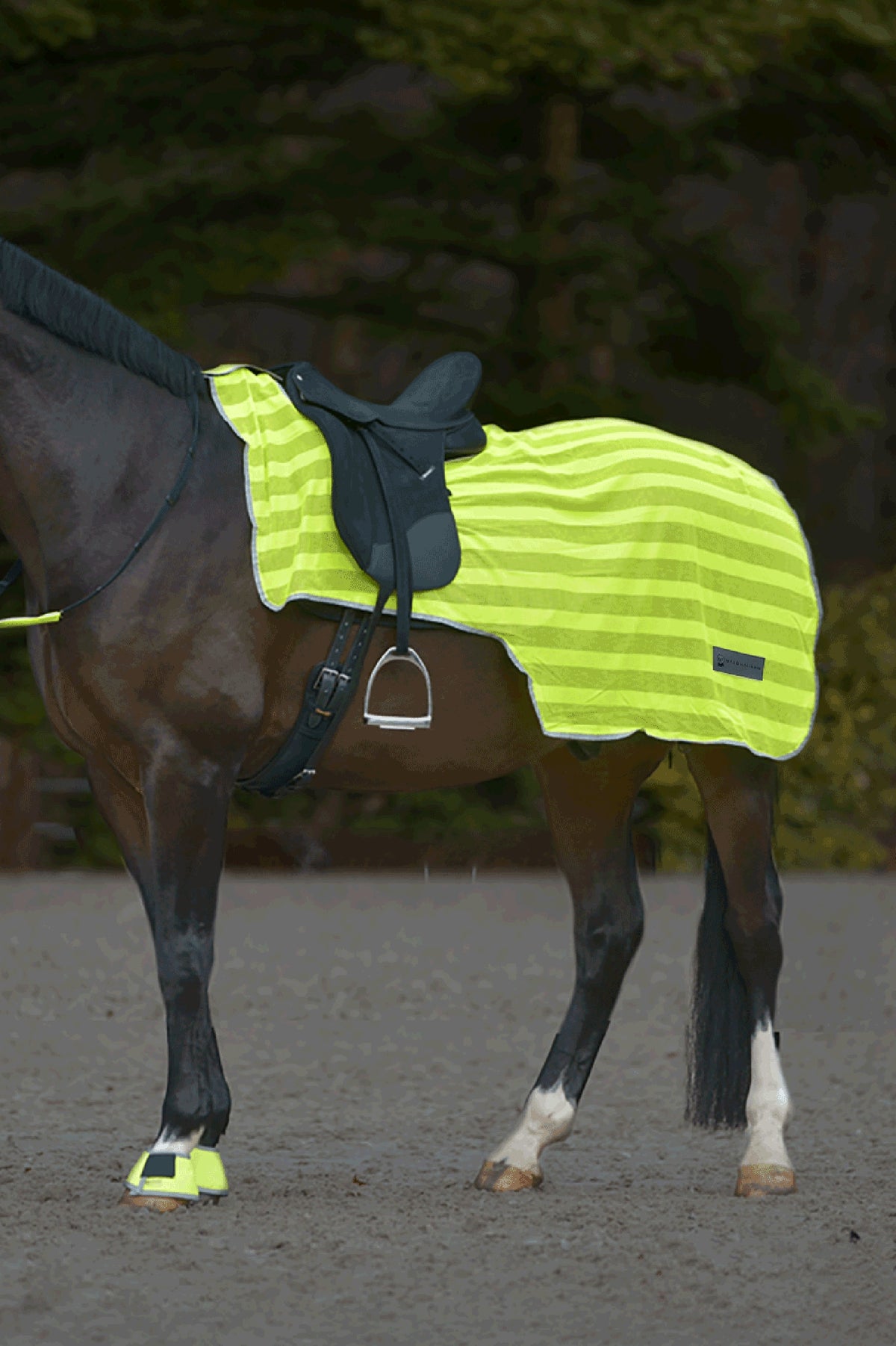 Waldhausen REFLEX Ausreitdecke Reflective