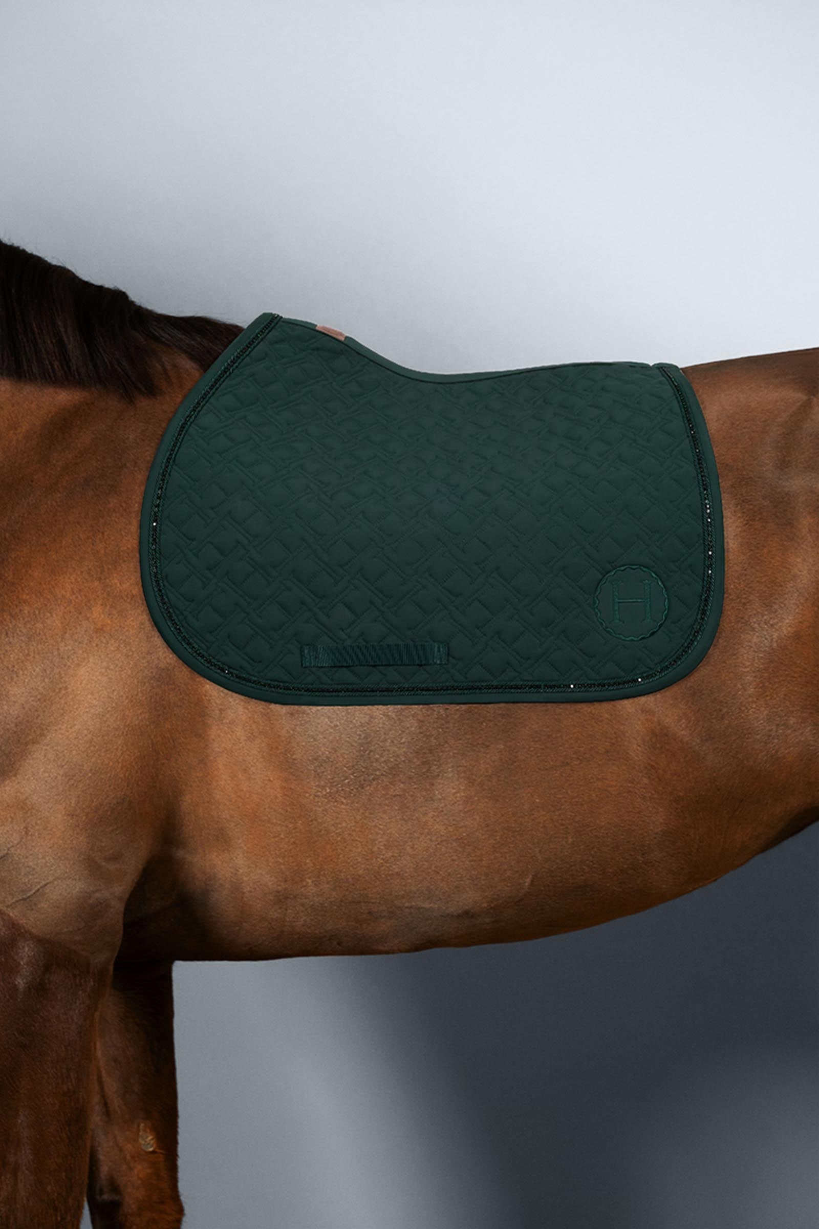 Harcour Saphir Springschabracke Schabracken