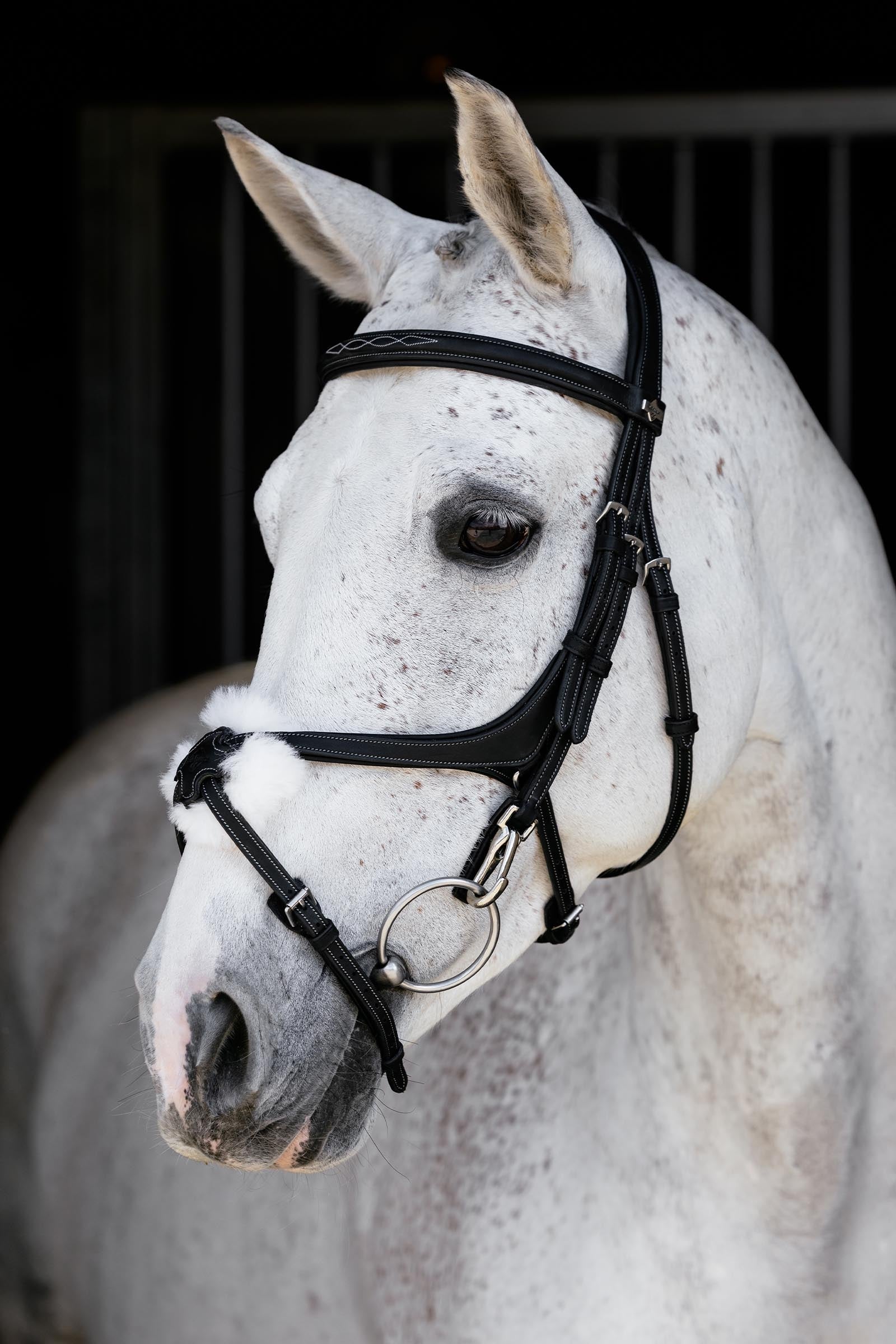 LeMieux Kudos Grackle Work Bridle Bridles & Reins