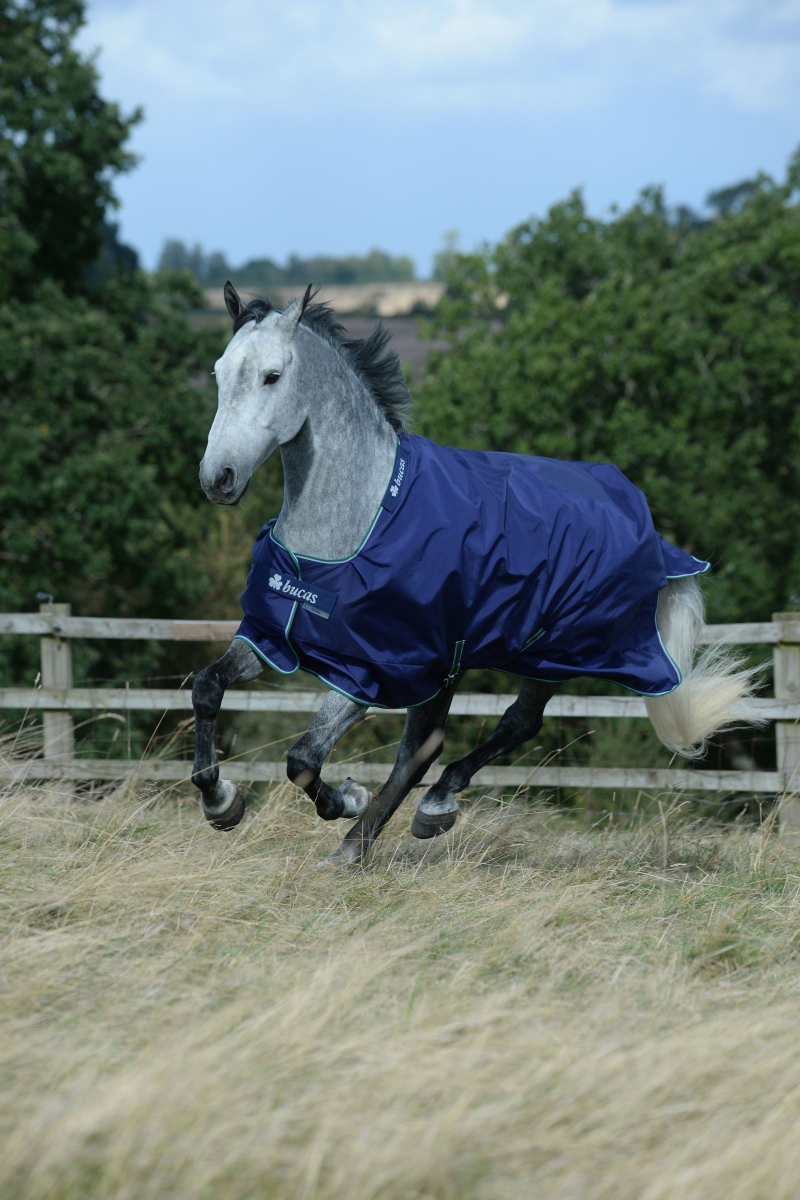 Bucas Smartex Medium Turnout Rug, 150g Horse Rugs