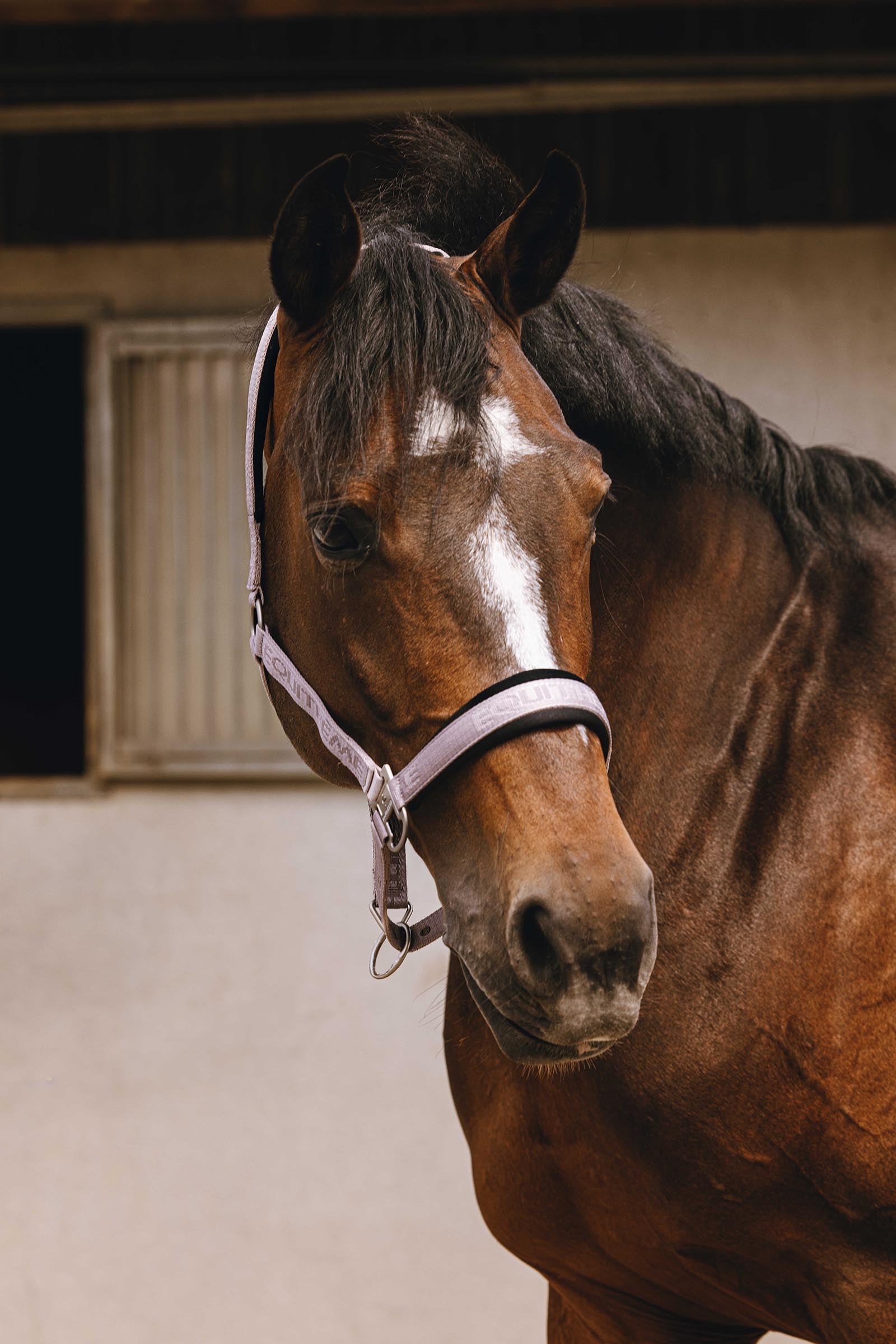 EQUITHÈME Jacquard Nylon Halter Halters & Leads