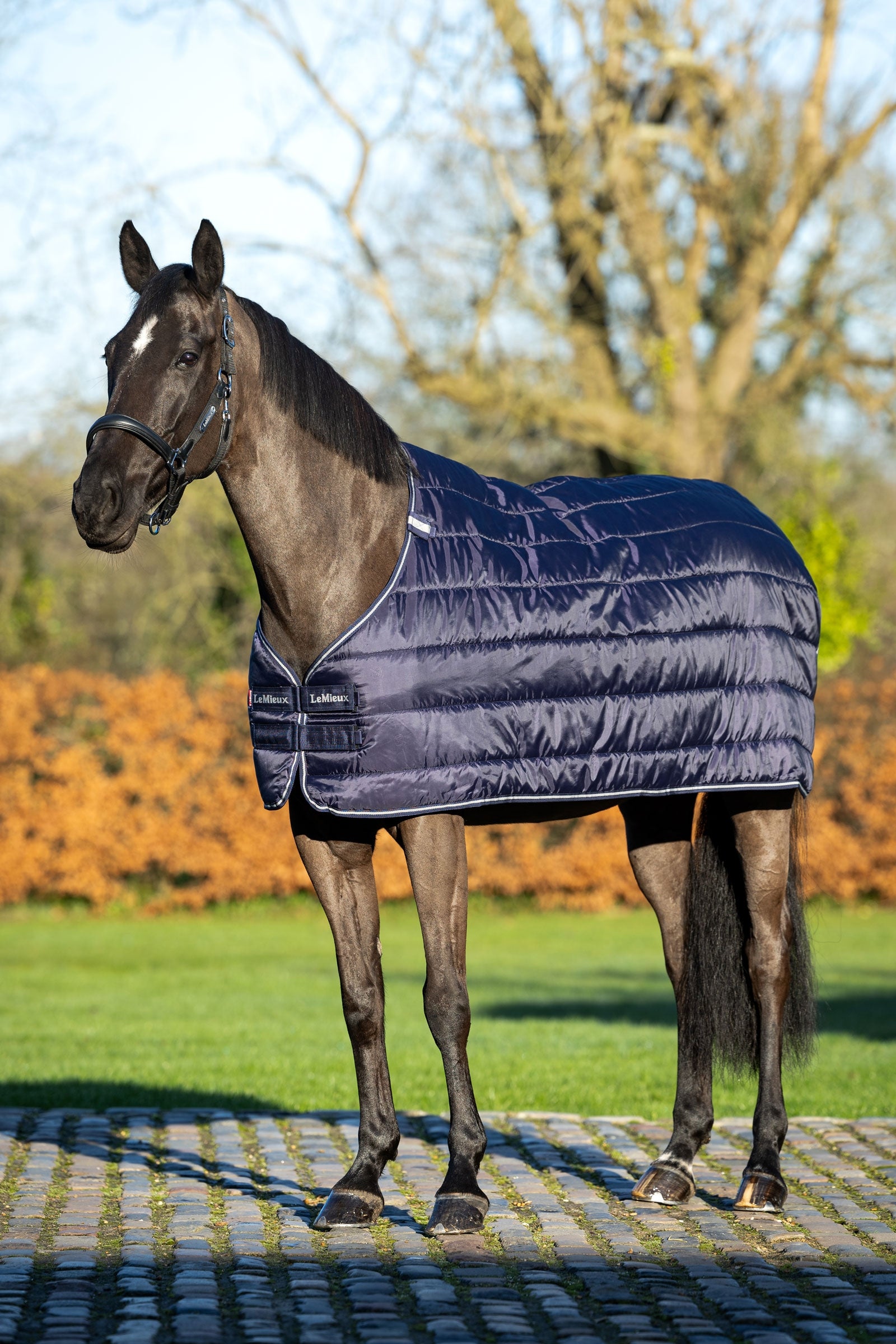 LeMieux Liner, 100 g Pferdedecken
