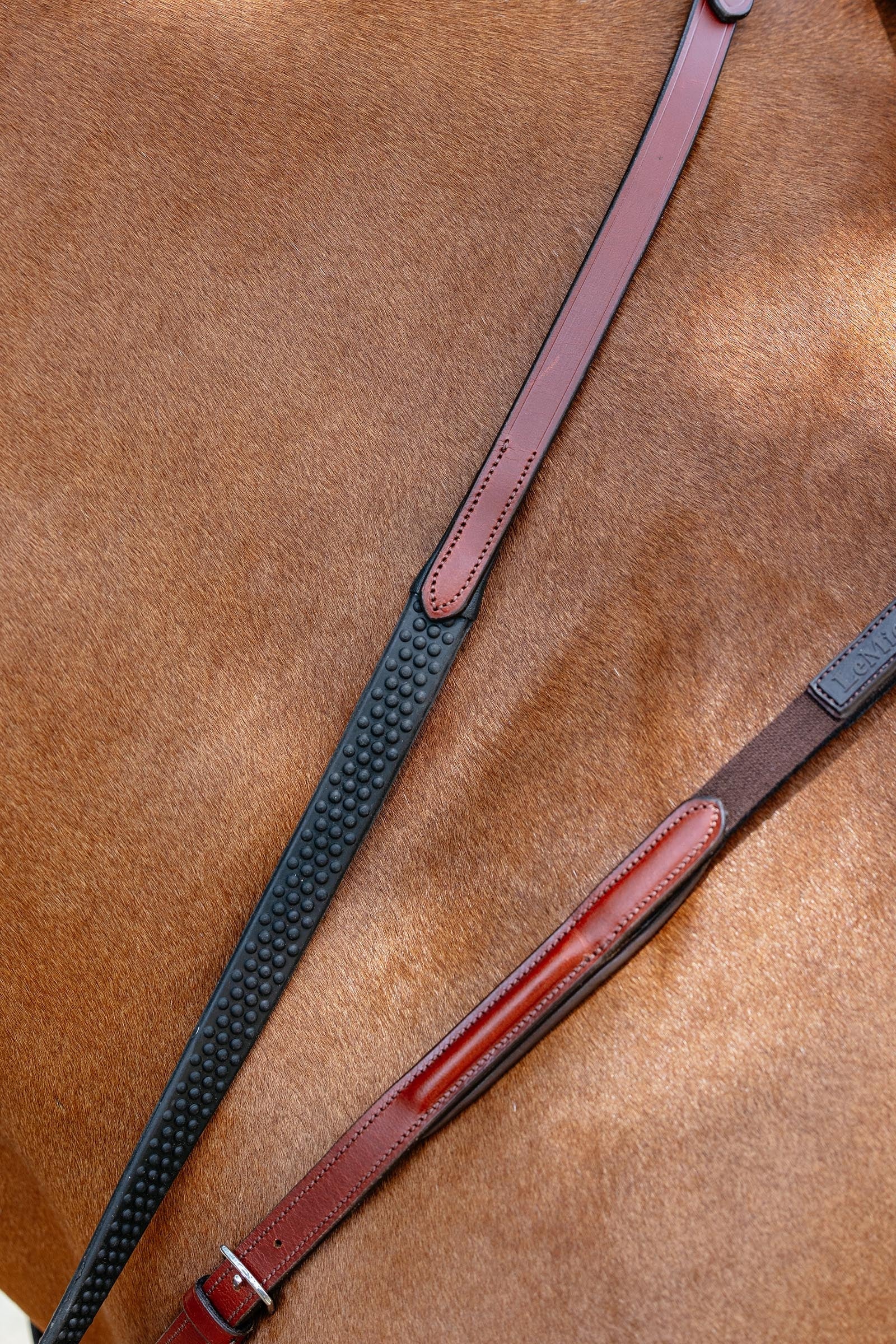 LeMieux Breastplate With Detachable Martingale Bridles & Reins