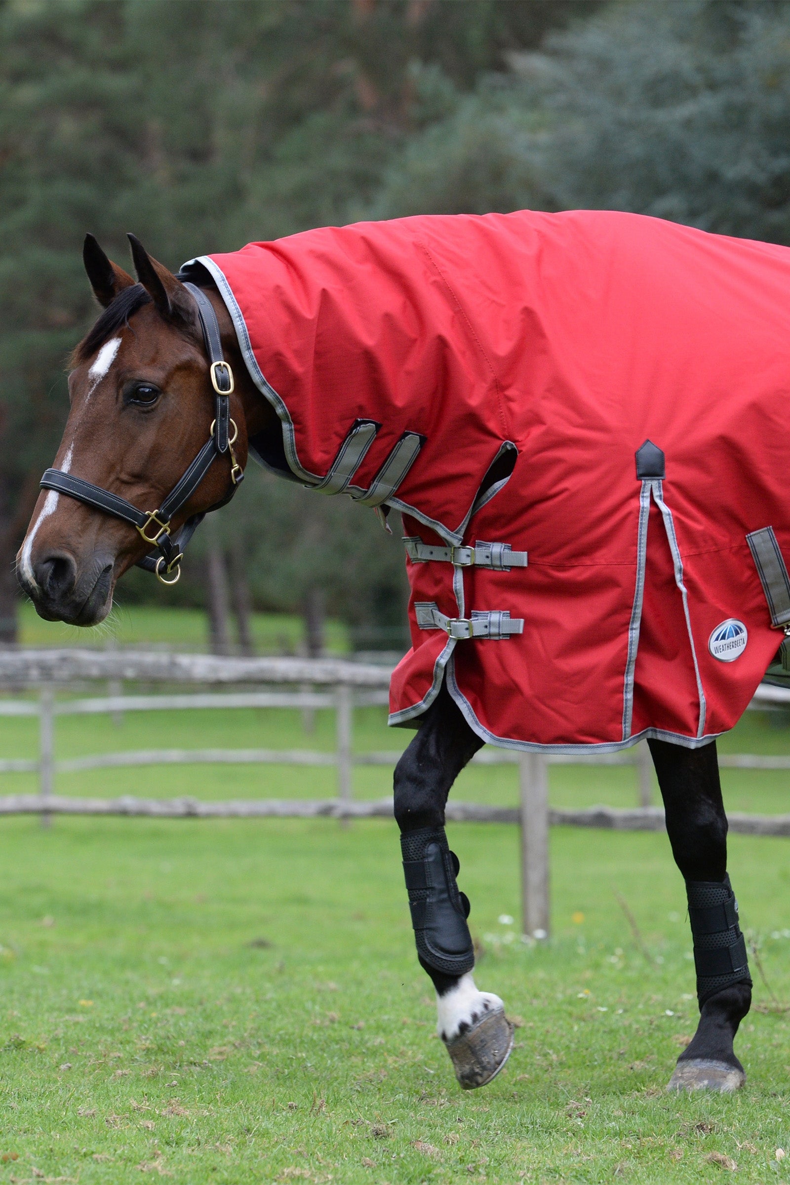Weatherbeeta Comfitec Classic Combo Neck Lite Plus Horse Rugs