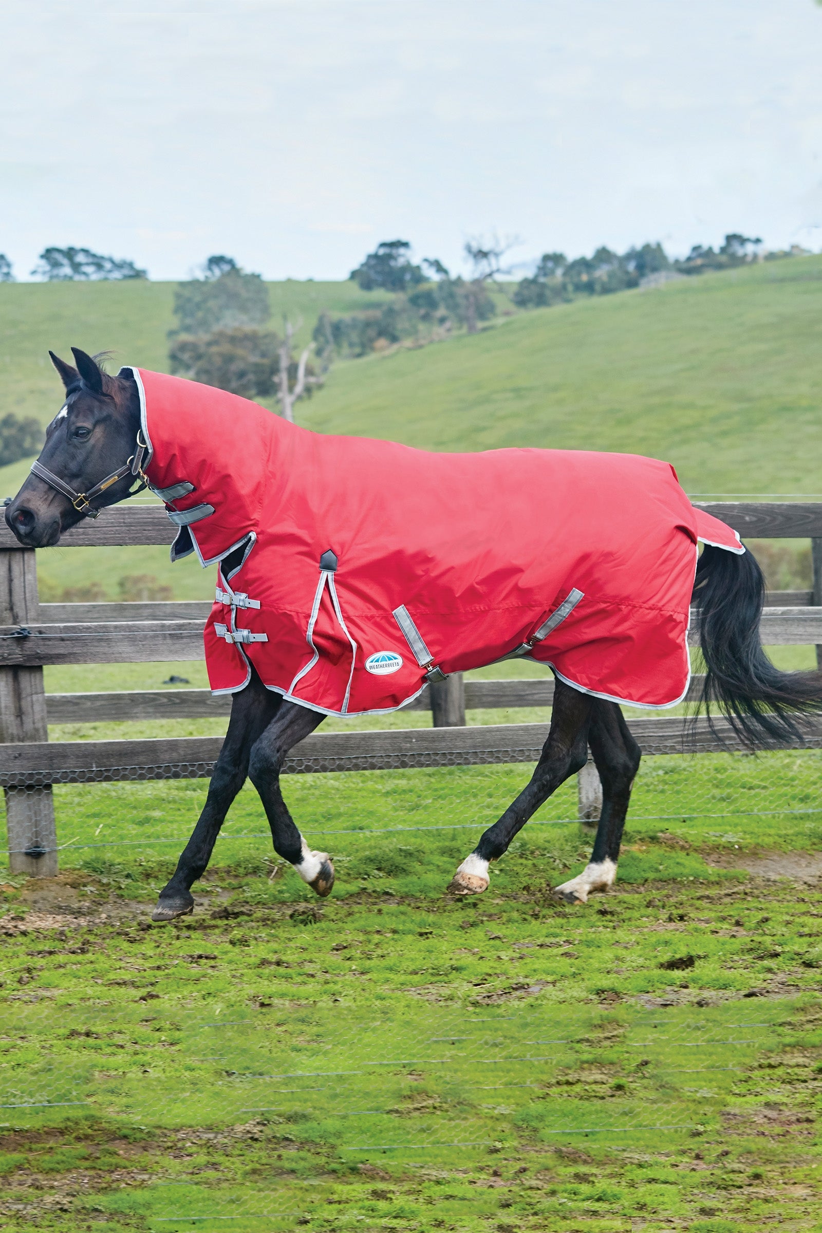 Weatherbeeta Comfitec Classic Combo Neck Lite Plus Horse Rugs